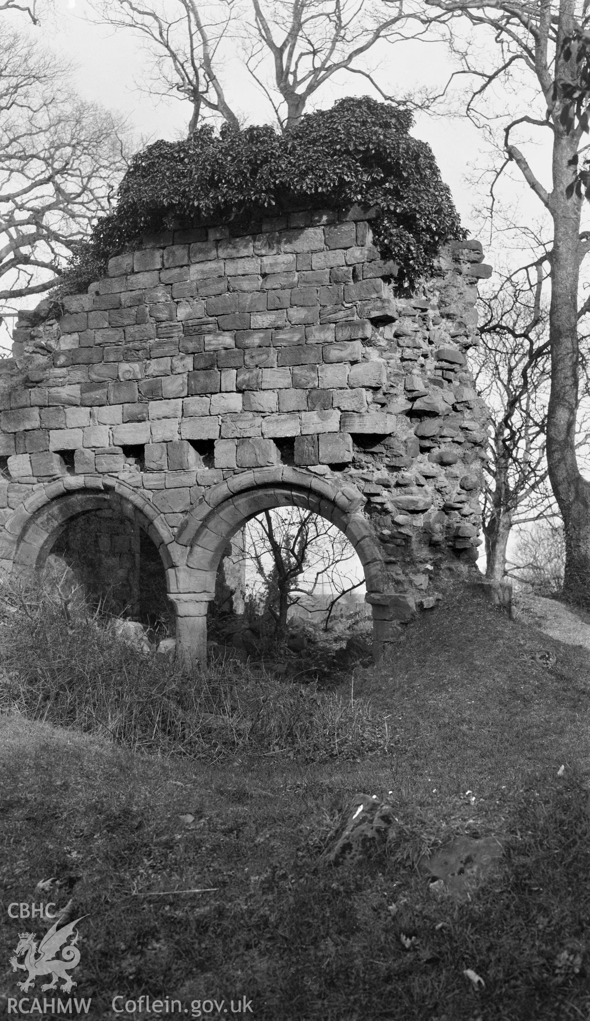 View of Basingwerk Abbey.