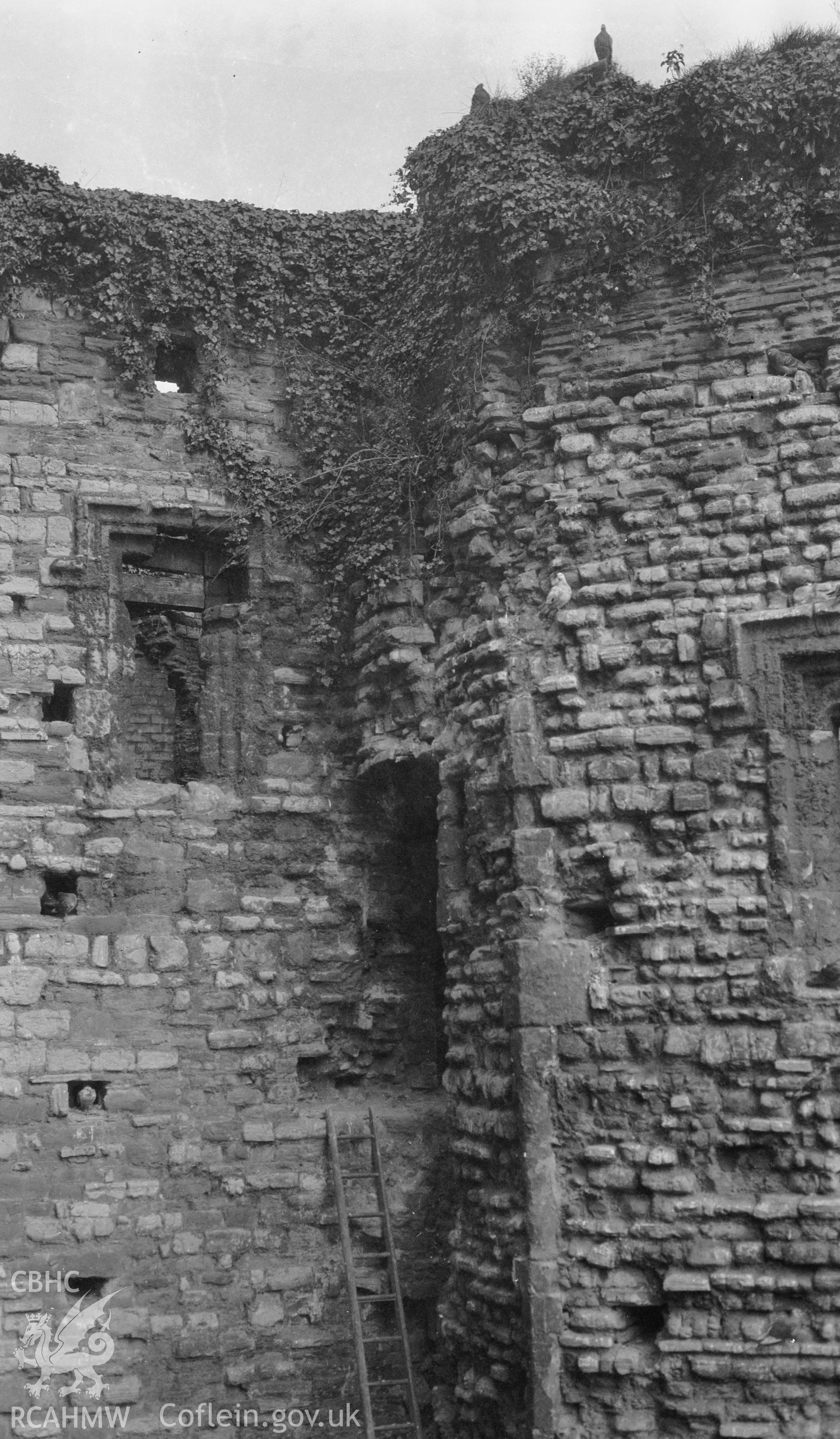 Photo showing Newport Castle