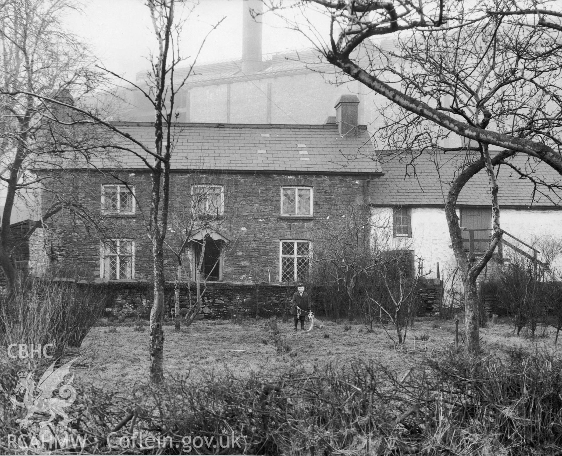 Large photograph on board showing  Ynysywern Farm with boy and dog in foreground. Dated between 1902 and 1910. In the background can be seen the South Wales Power Company Power station at Upper Boat.