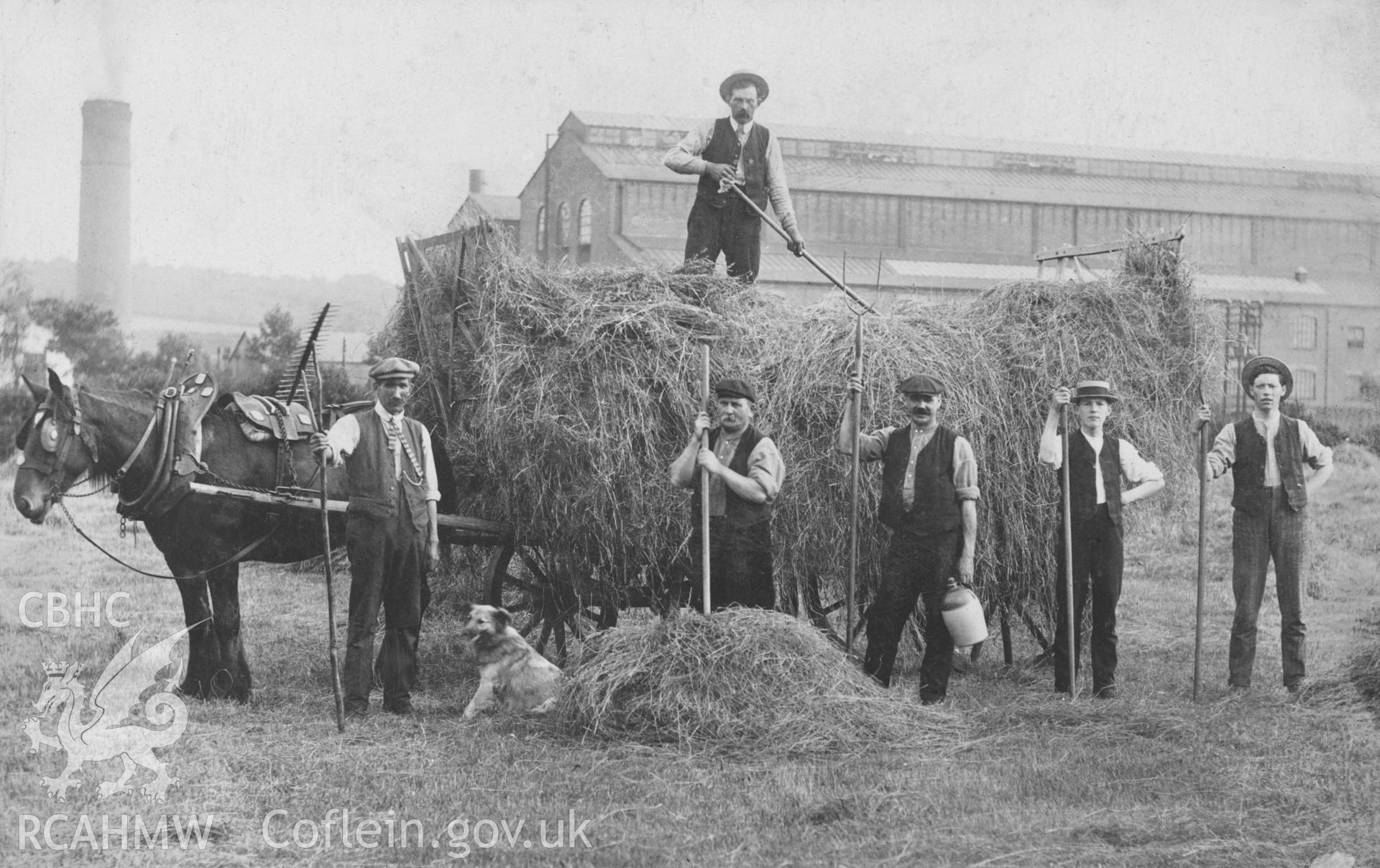 Postcard showing  haymaking at Ynysywern Farm with men and haycart. Dated between 1902 and 1910. In the background can be seen the chimney of the South Wales Power Company Power station at Upper Boat.