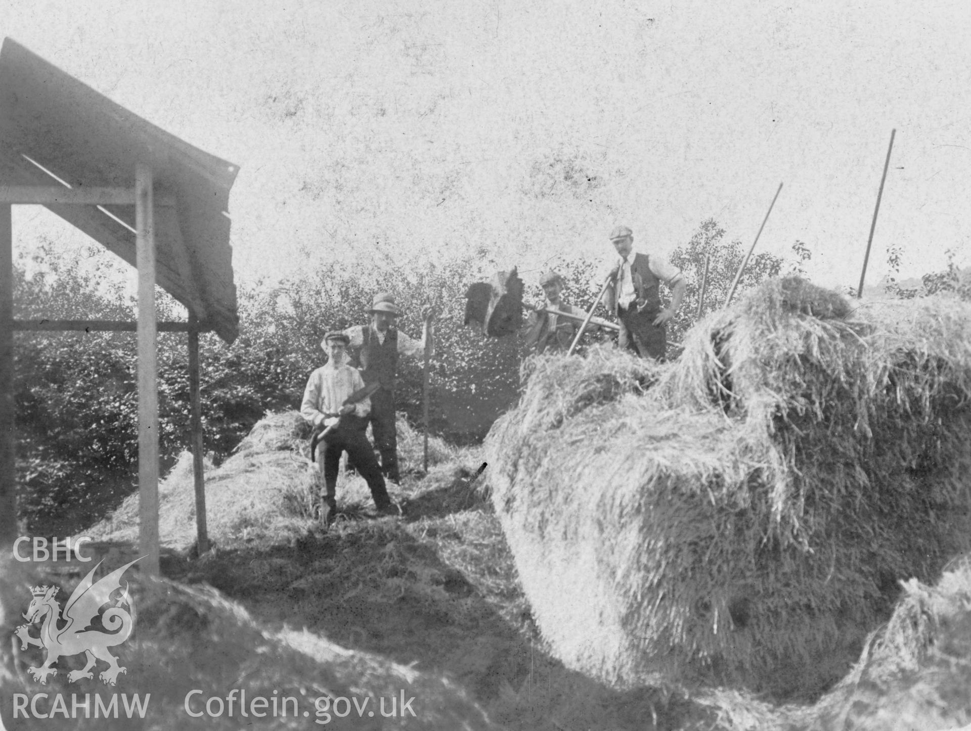 Postcard showing haymaking at  Ynysywern Farm. Dated between 1902 and 1910.