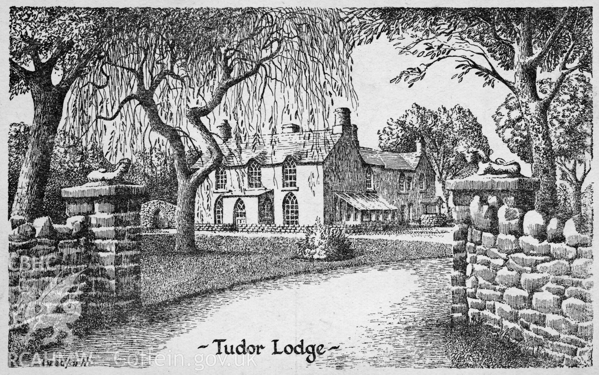 Tudor Lodge, Jameston: black and white postcard showing drawing of the building, from National Buildings Record.