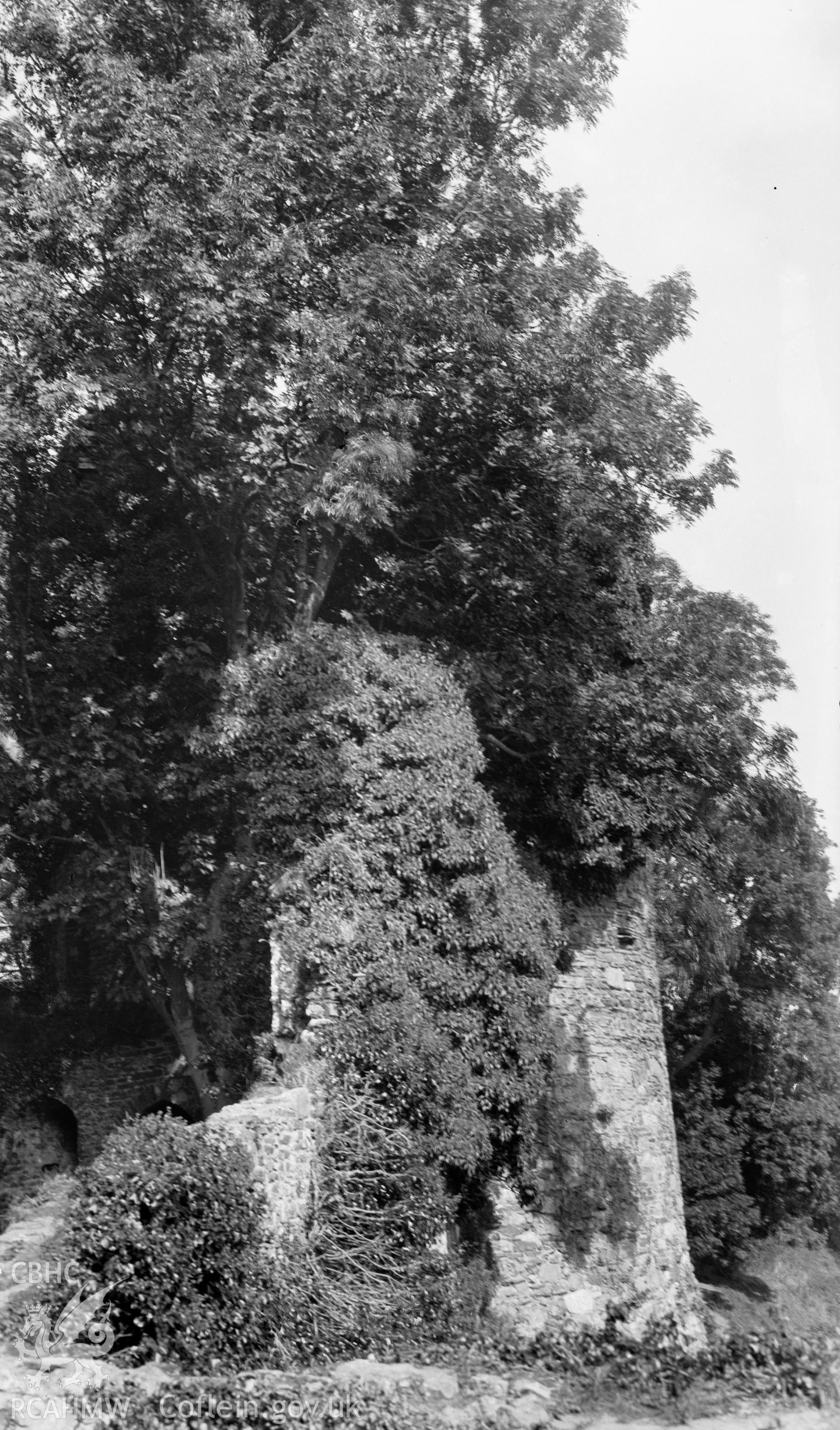 Photo showing Kidwelly Castle