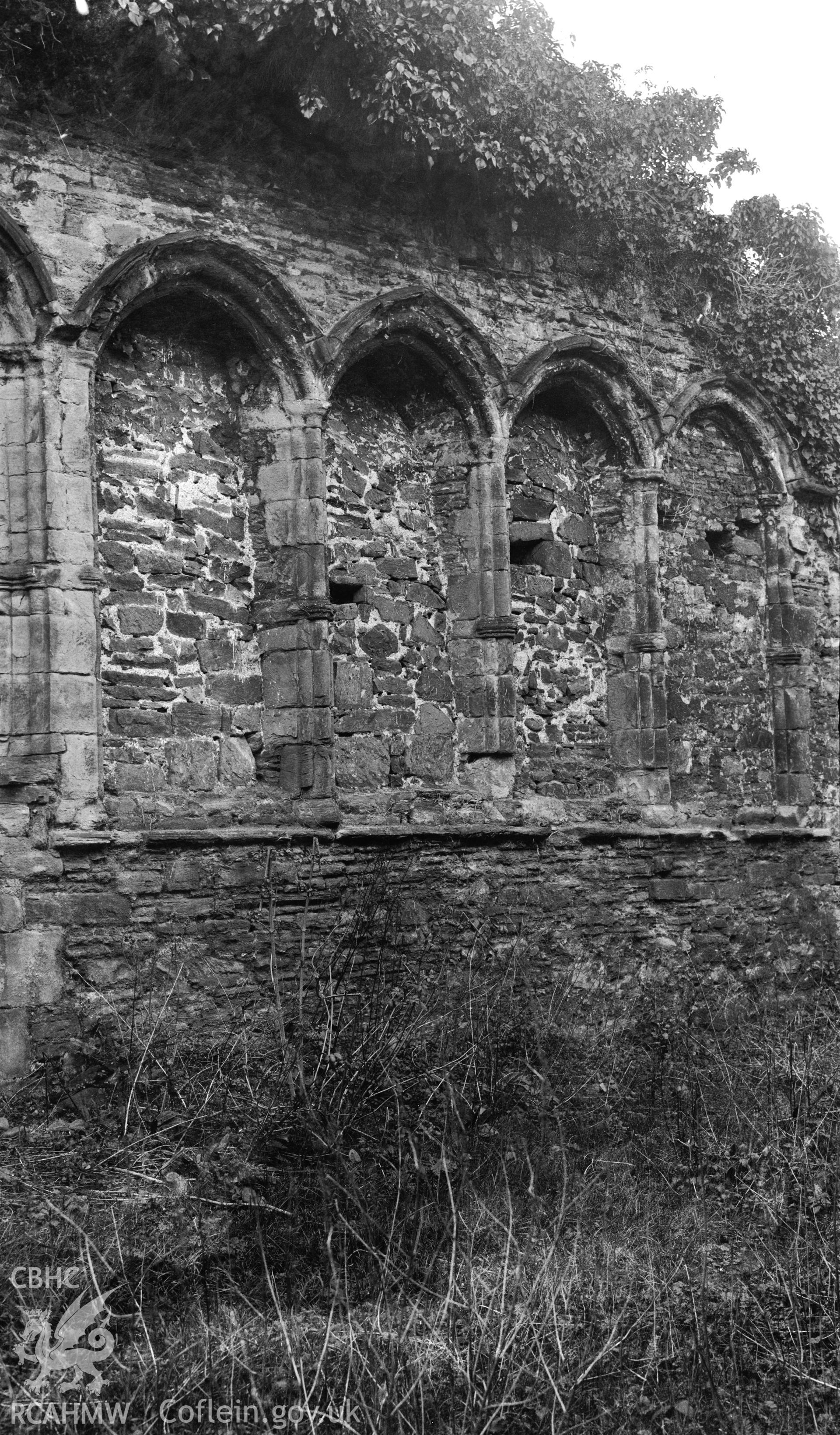View of Basingwerk Abbey showing detail of arched openings.