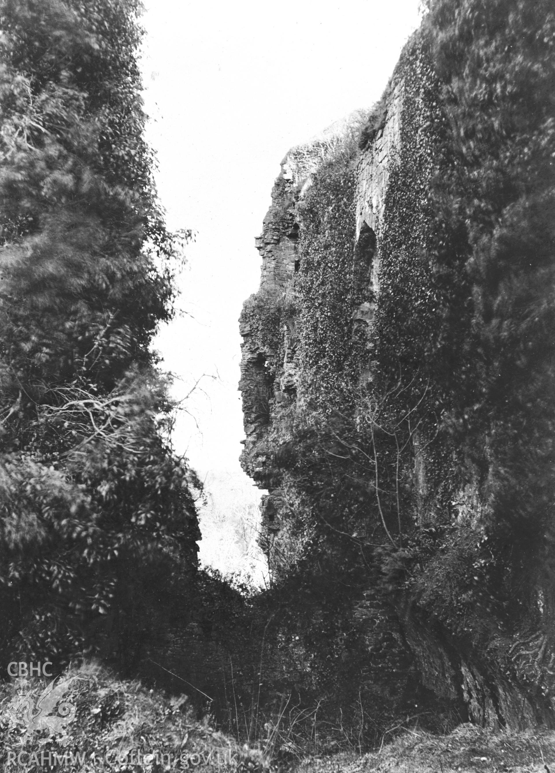 Photo showing Llawhaden Castle