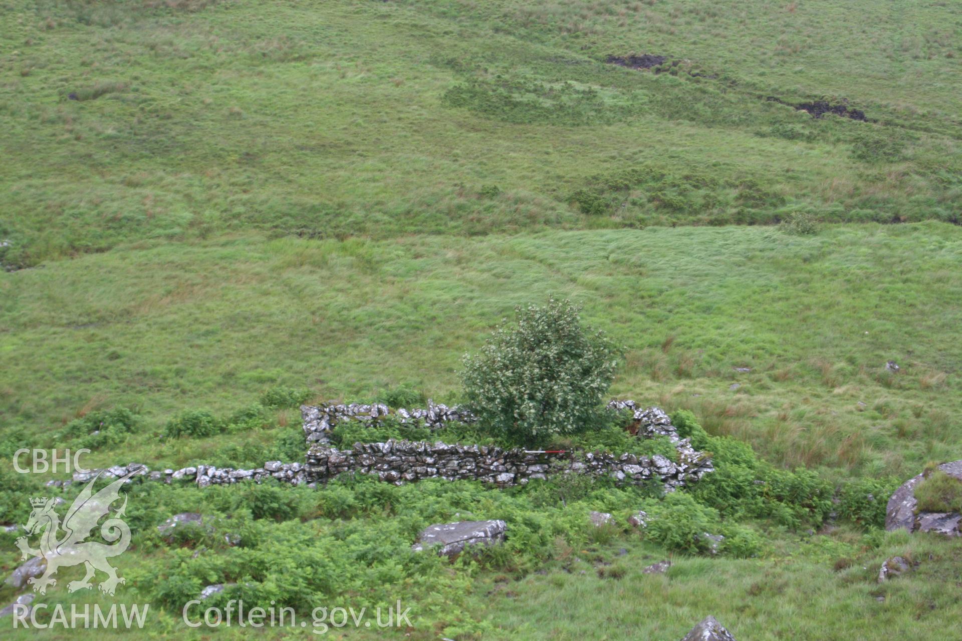 Blaenau Dolwyddelan, Sheepfold I, looking north