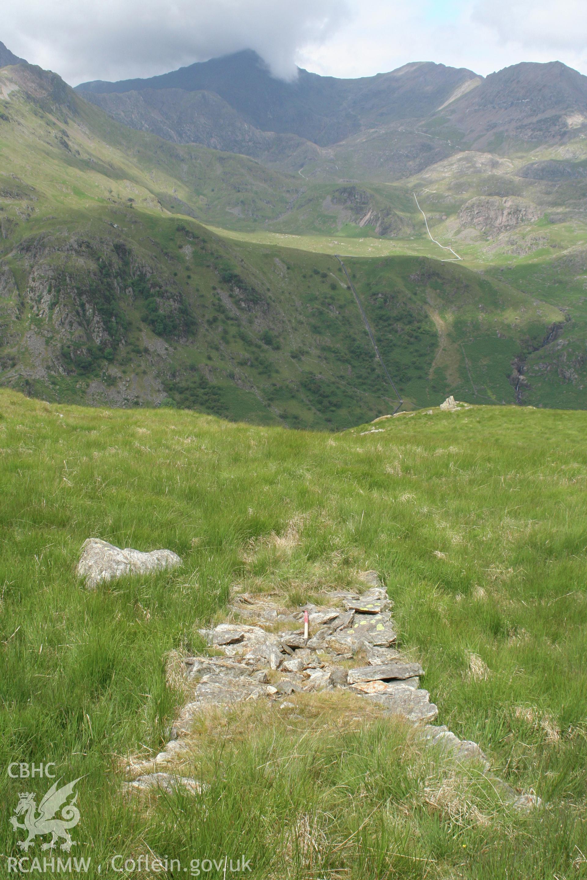Sheep shelter, Pont Ifan, looking west
