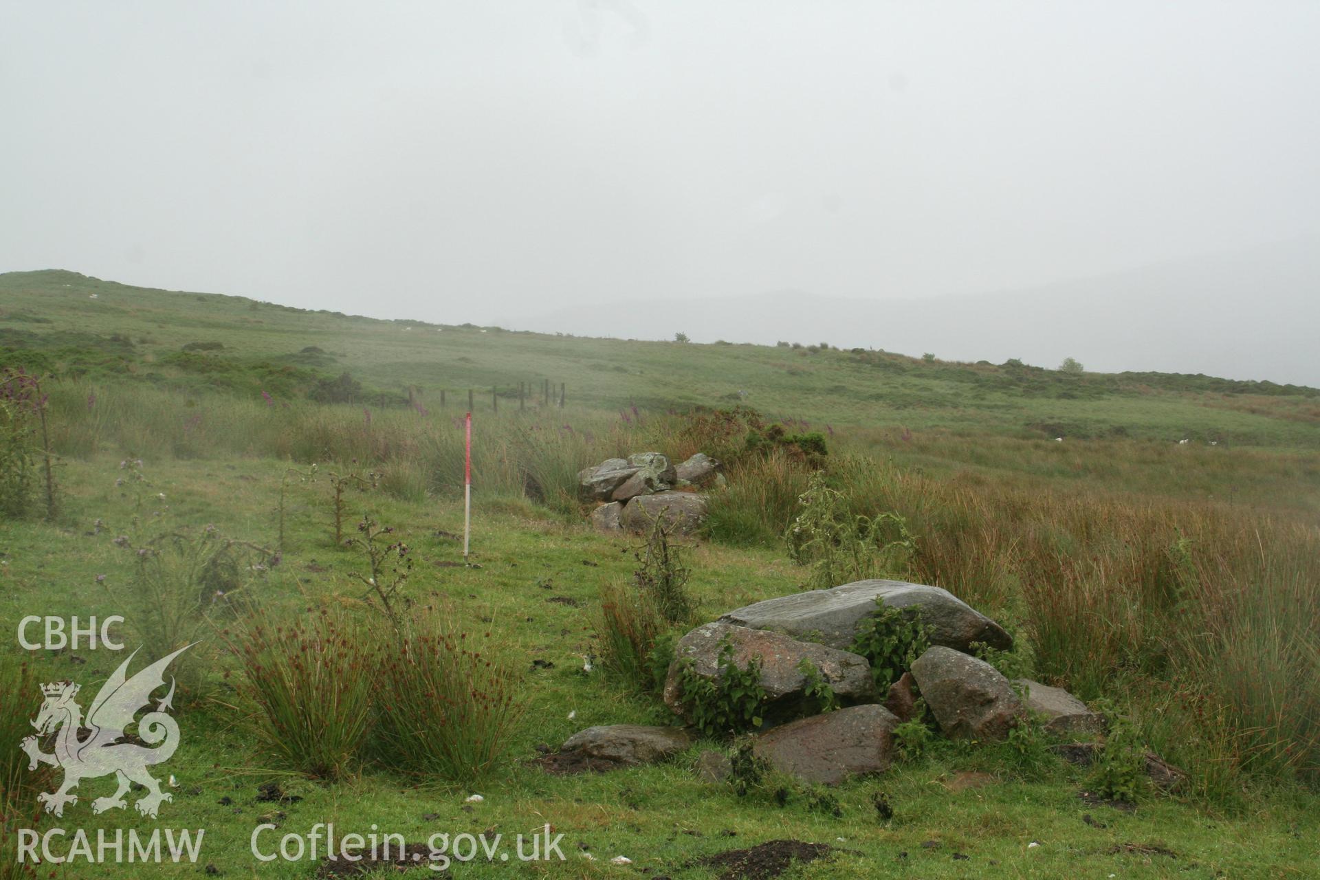 Clearance cairns, Afon Tanycastell, looking east