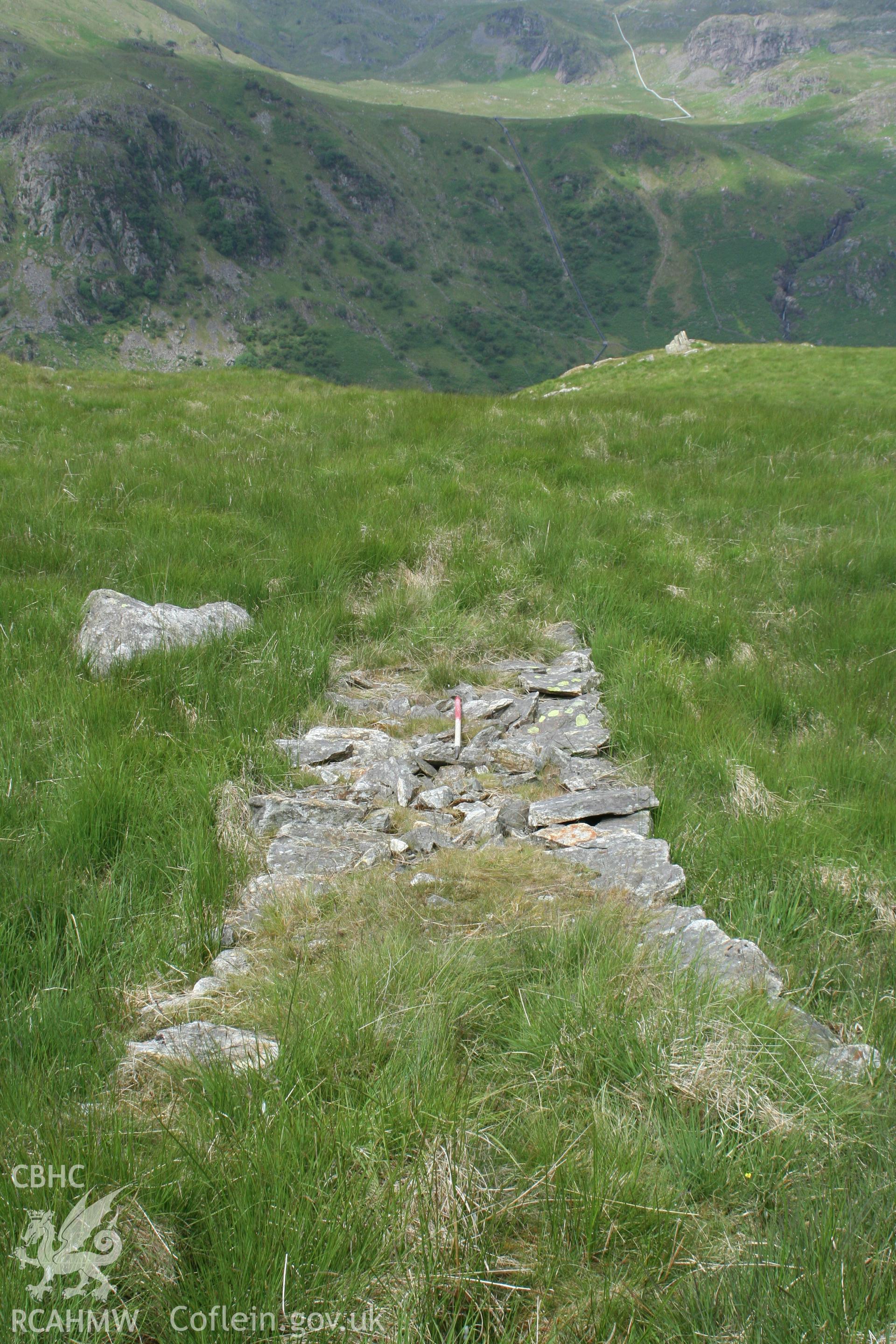 Sheep shelter, Pont Ifan, looking west