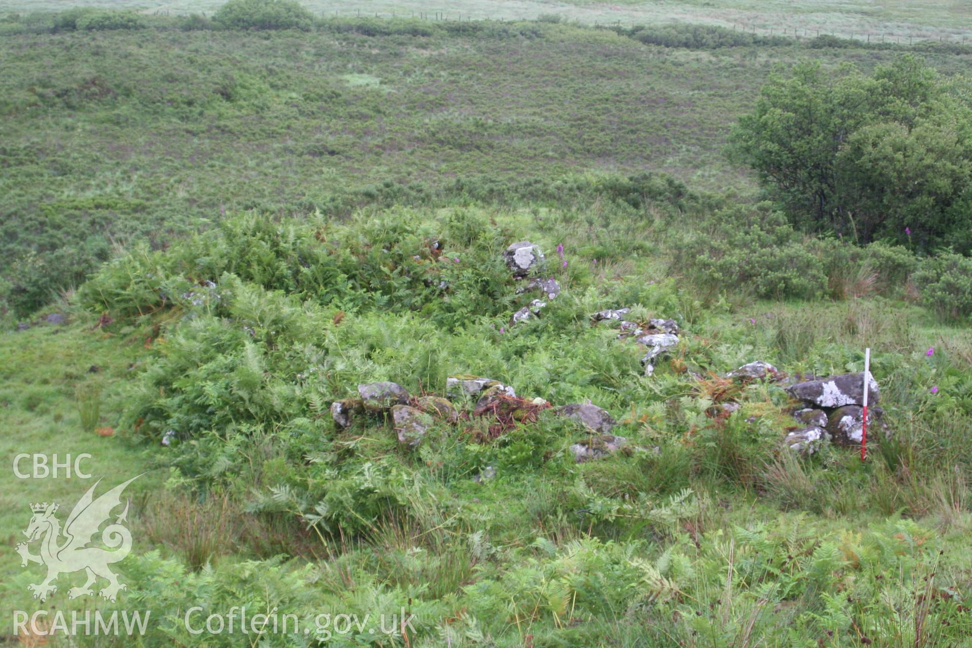 Blaenau Dolwyddelan, Sheepfold II, looking east