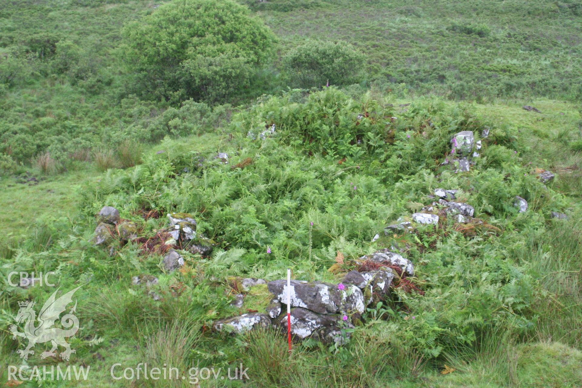 Blaenau Dolwyddelan, Sheepfold II, looking north