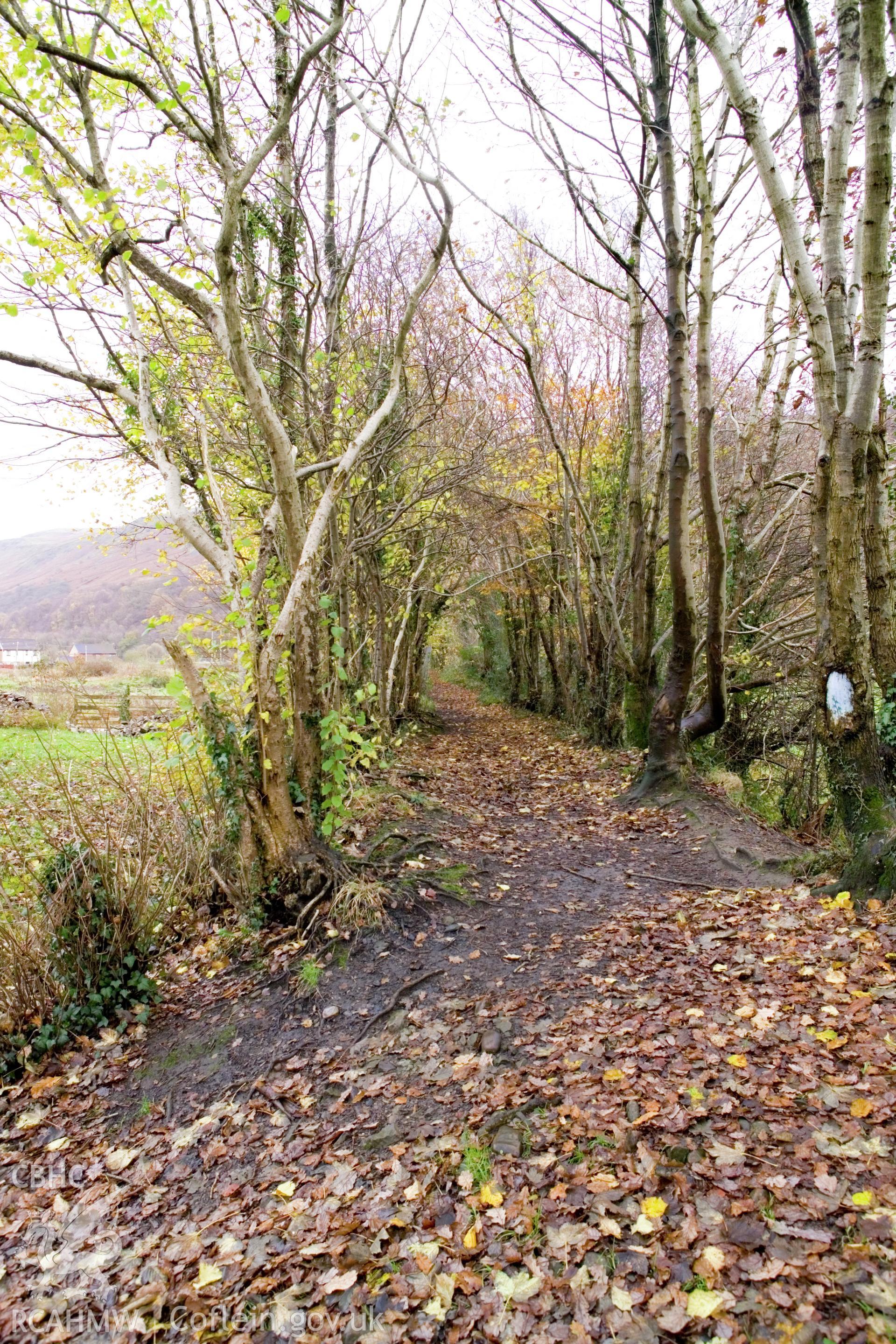 Tramway looking east. (vertical)