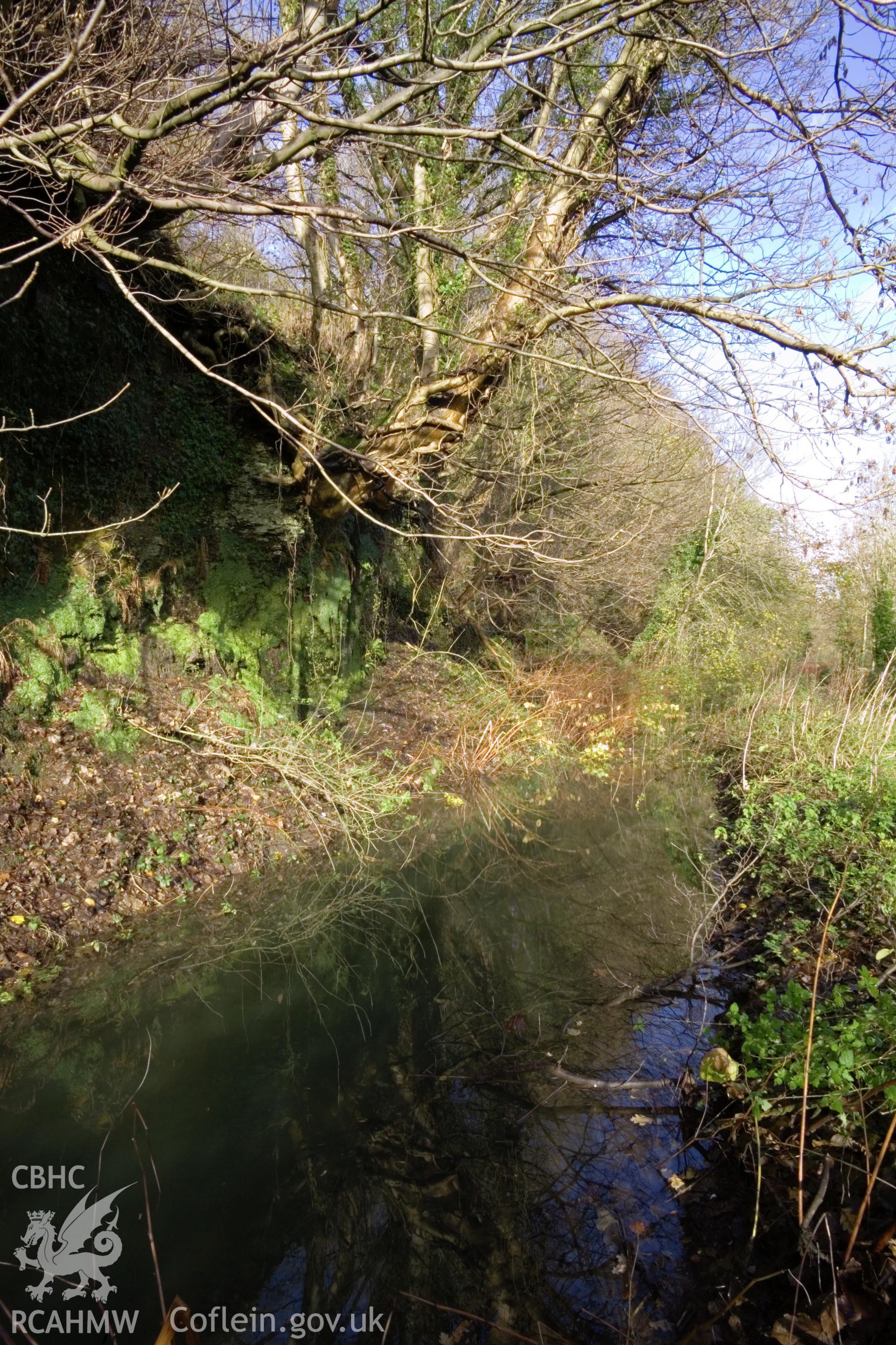 Rock cutting, looking north. (vertical)