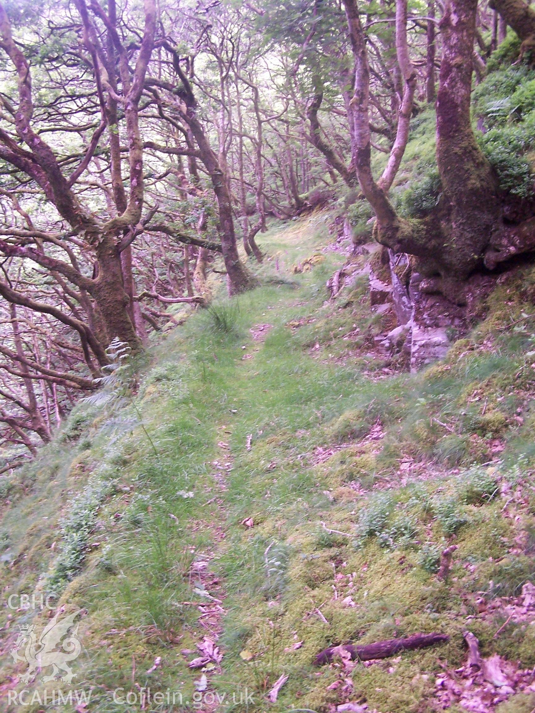 Rock-cut section of leat, N of aqueduct.