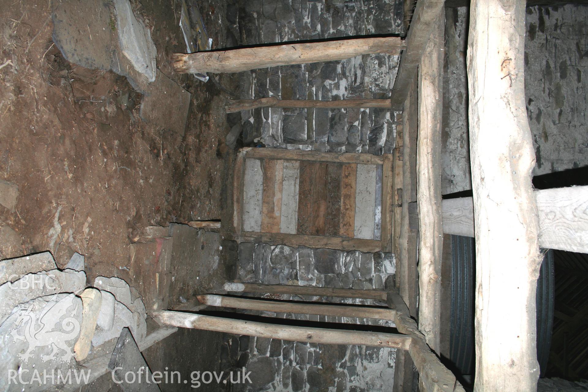 Interior, cow-house, showing feed-passage.