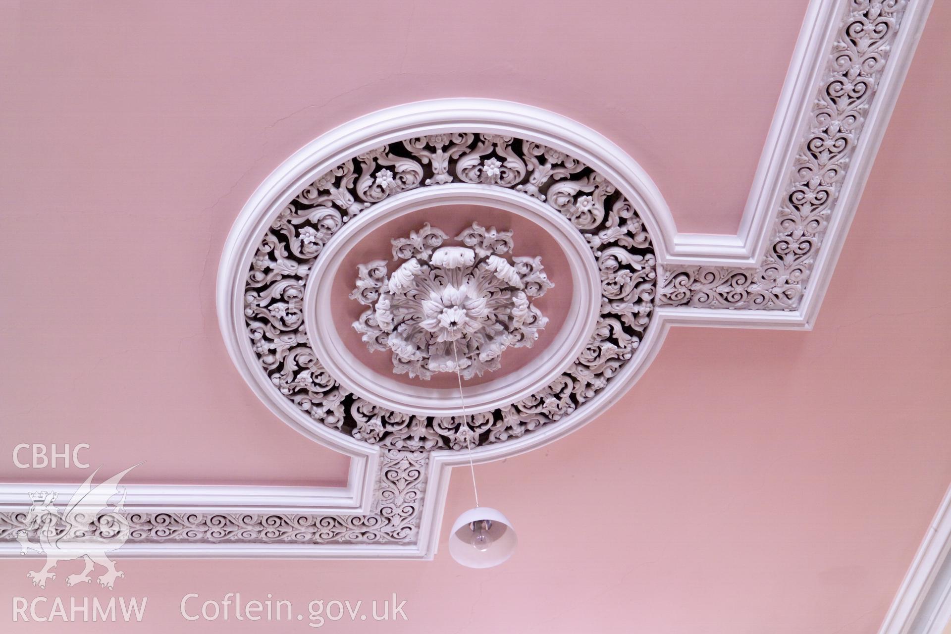 Detail of corner ceiling rose.