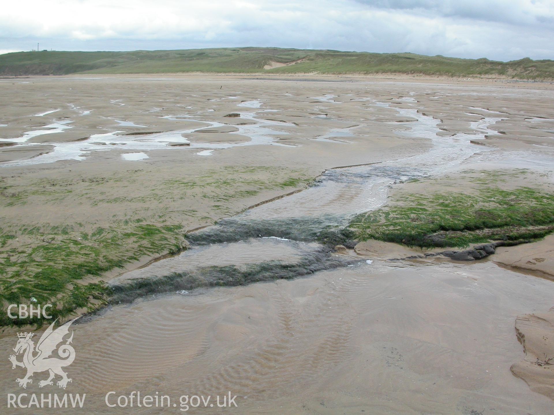Frainslake Sands: Detail of peat exposed and recorded in September 2005.