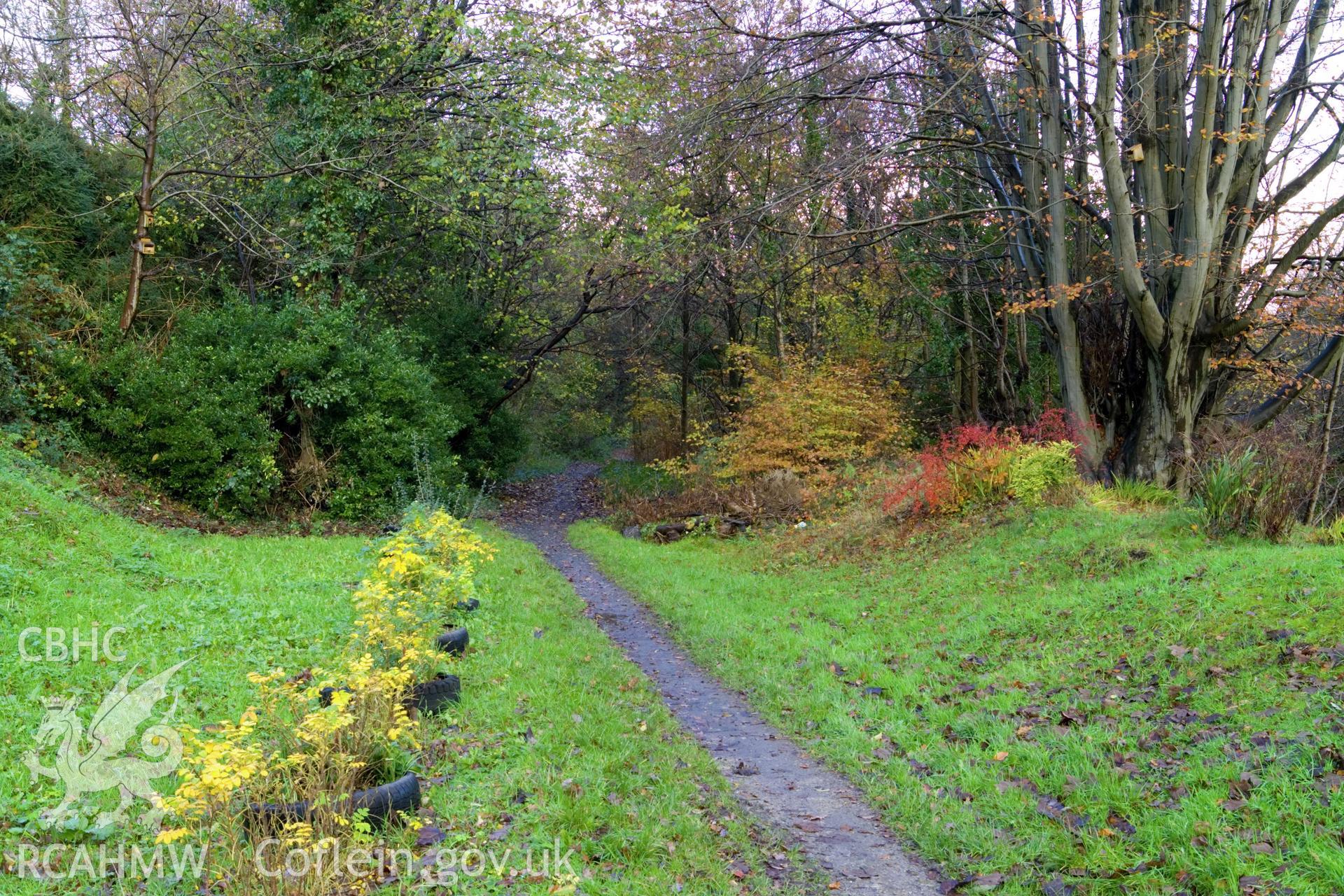 Looking north from centre of old canal bed.