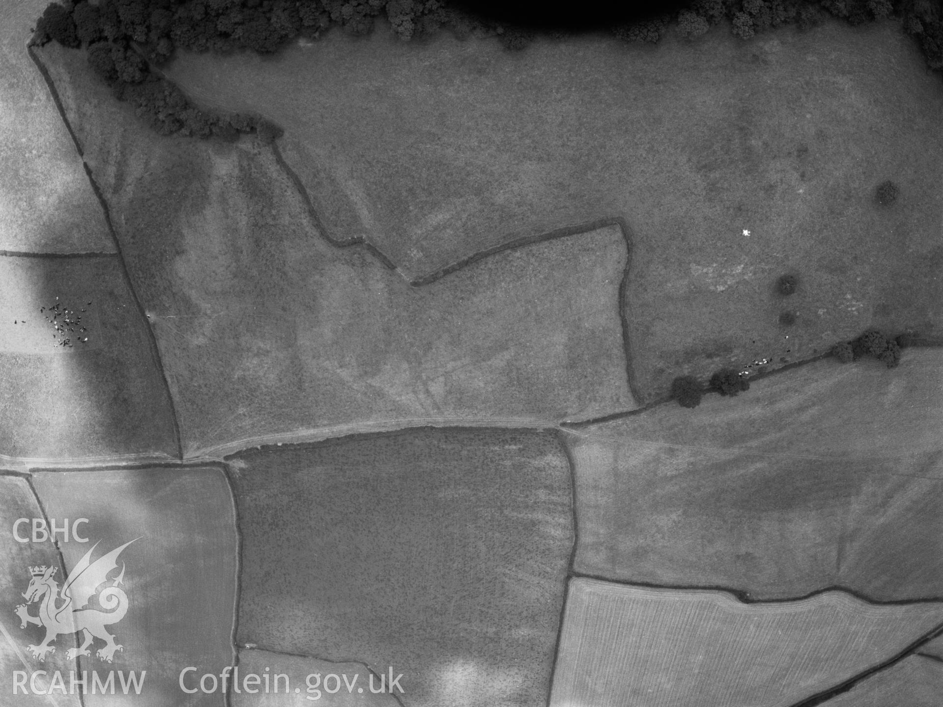 RCAHMW black and white oblique aerial photograph of  Graig Olway Farm cropmarks