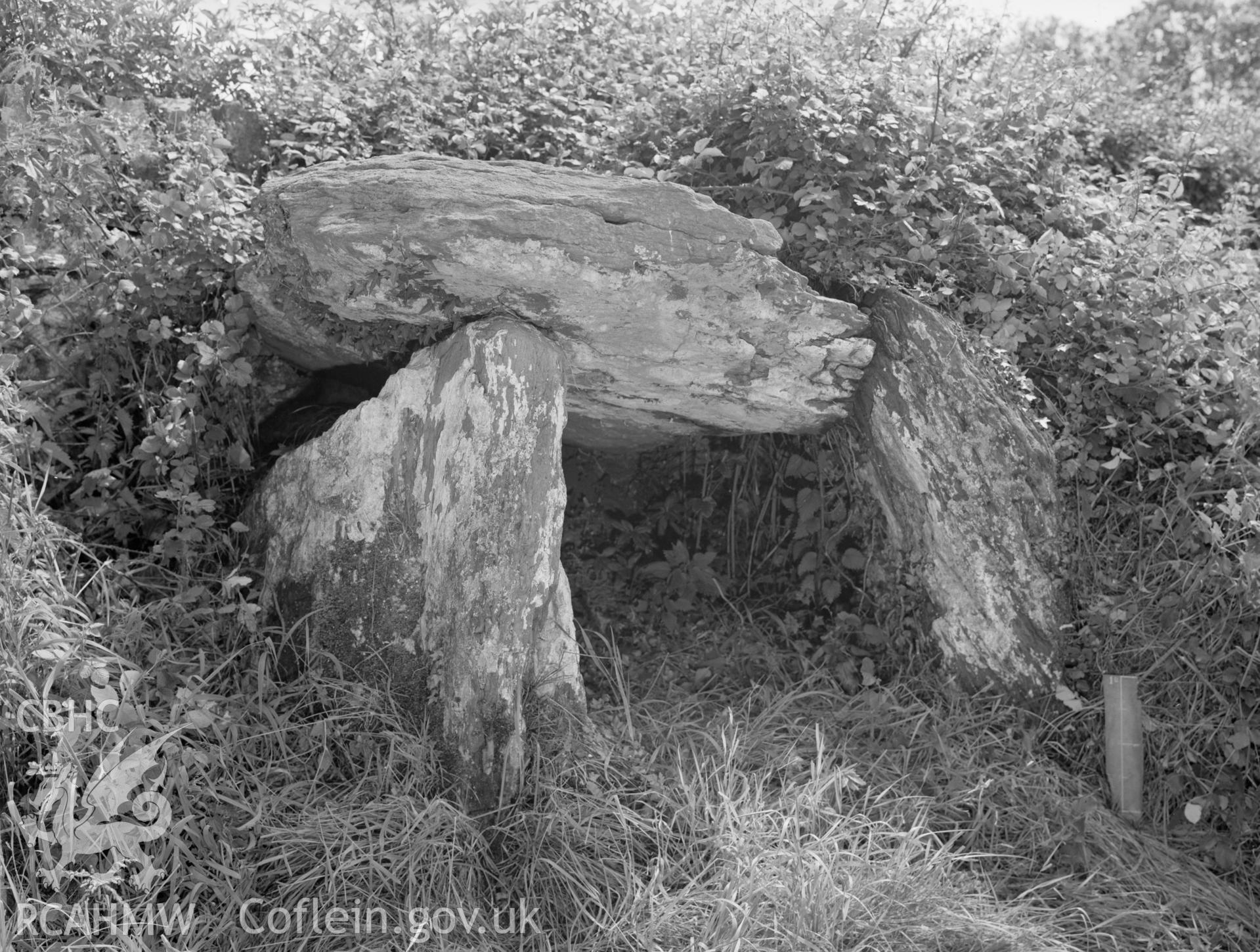 View of burial chamber.
