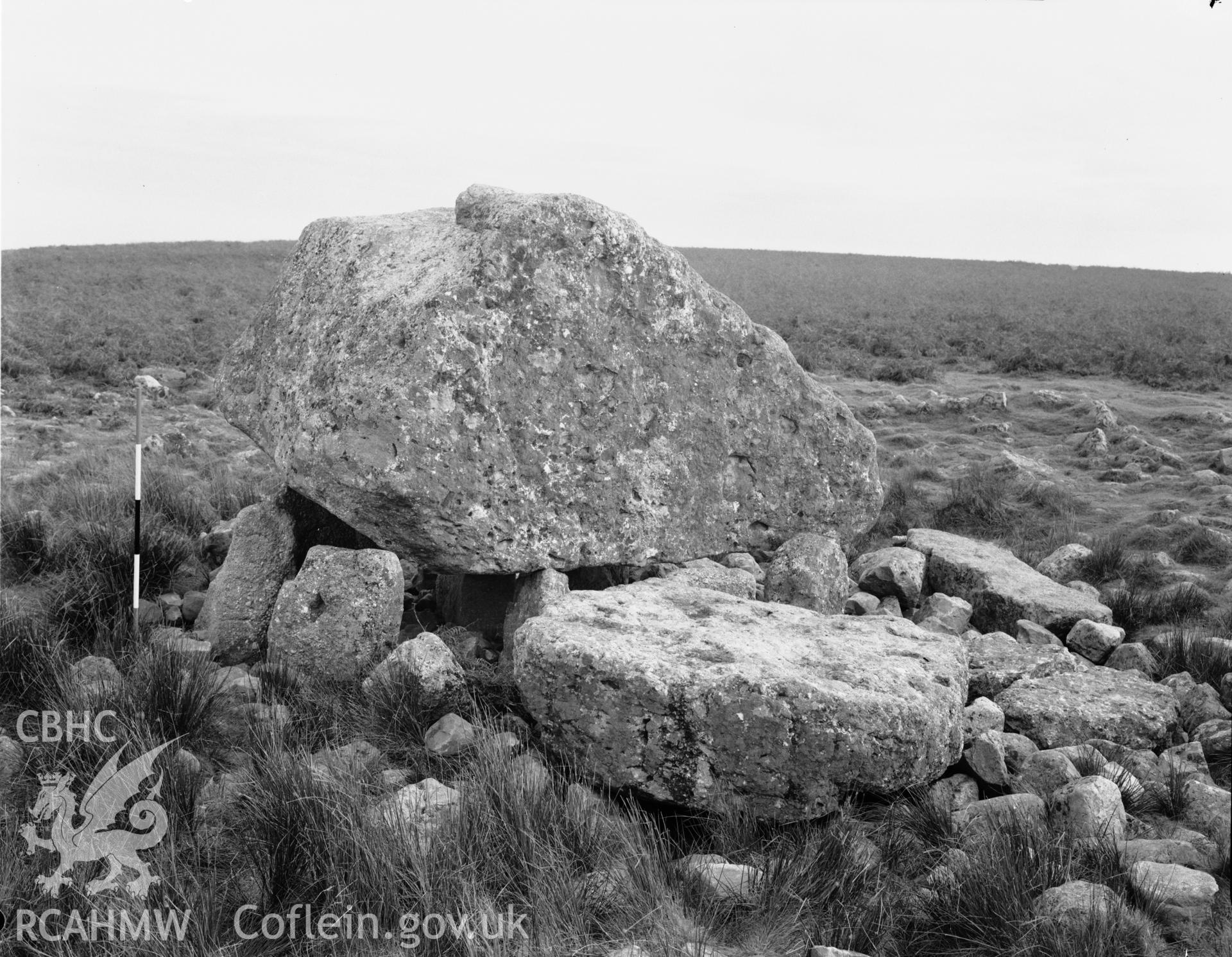 View of Arthur's Stone, Llanrhidian Lower, taken 12.05.1956.