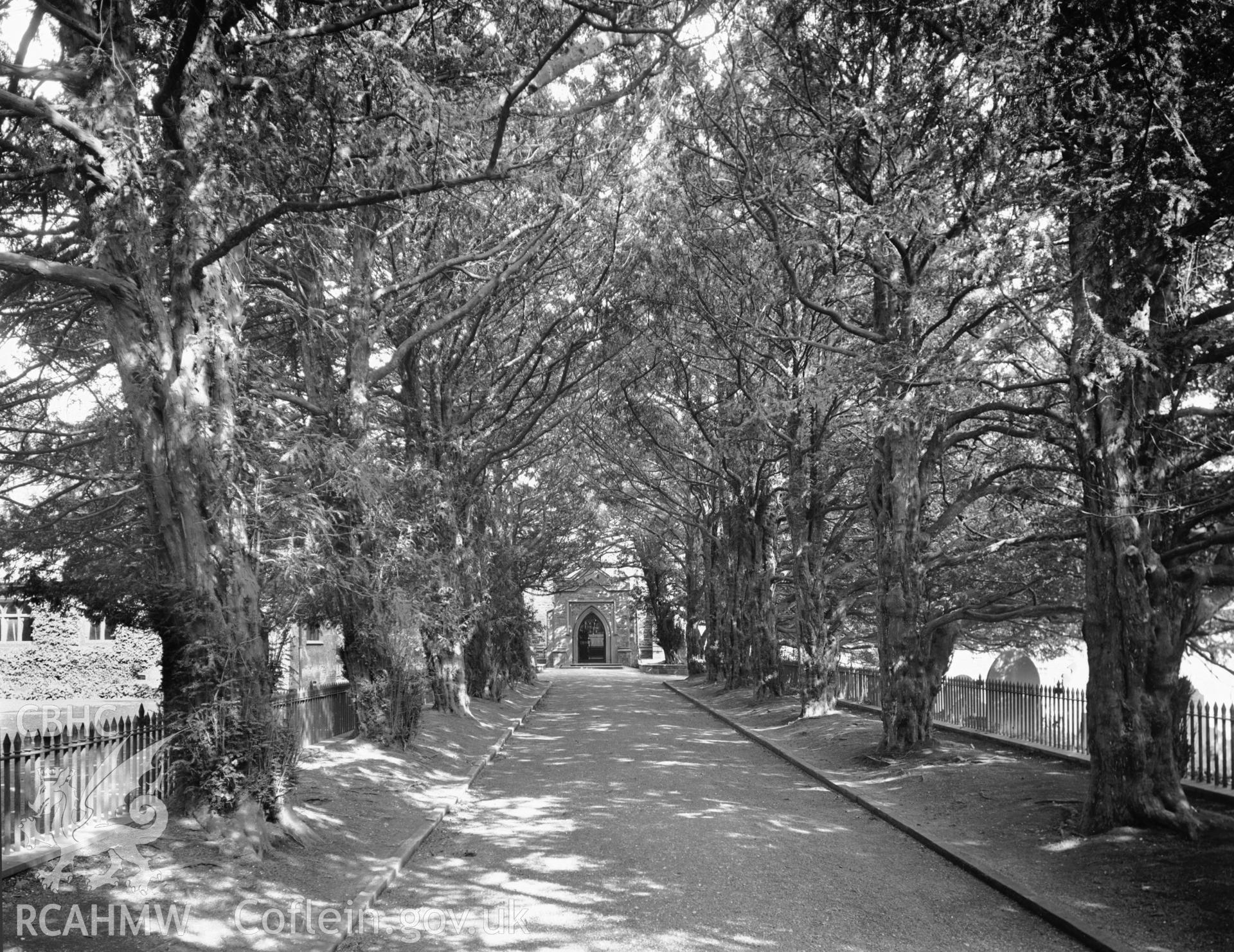 Exterior view showing tree lined path to the church.