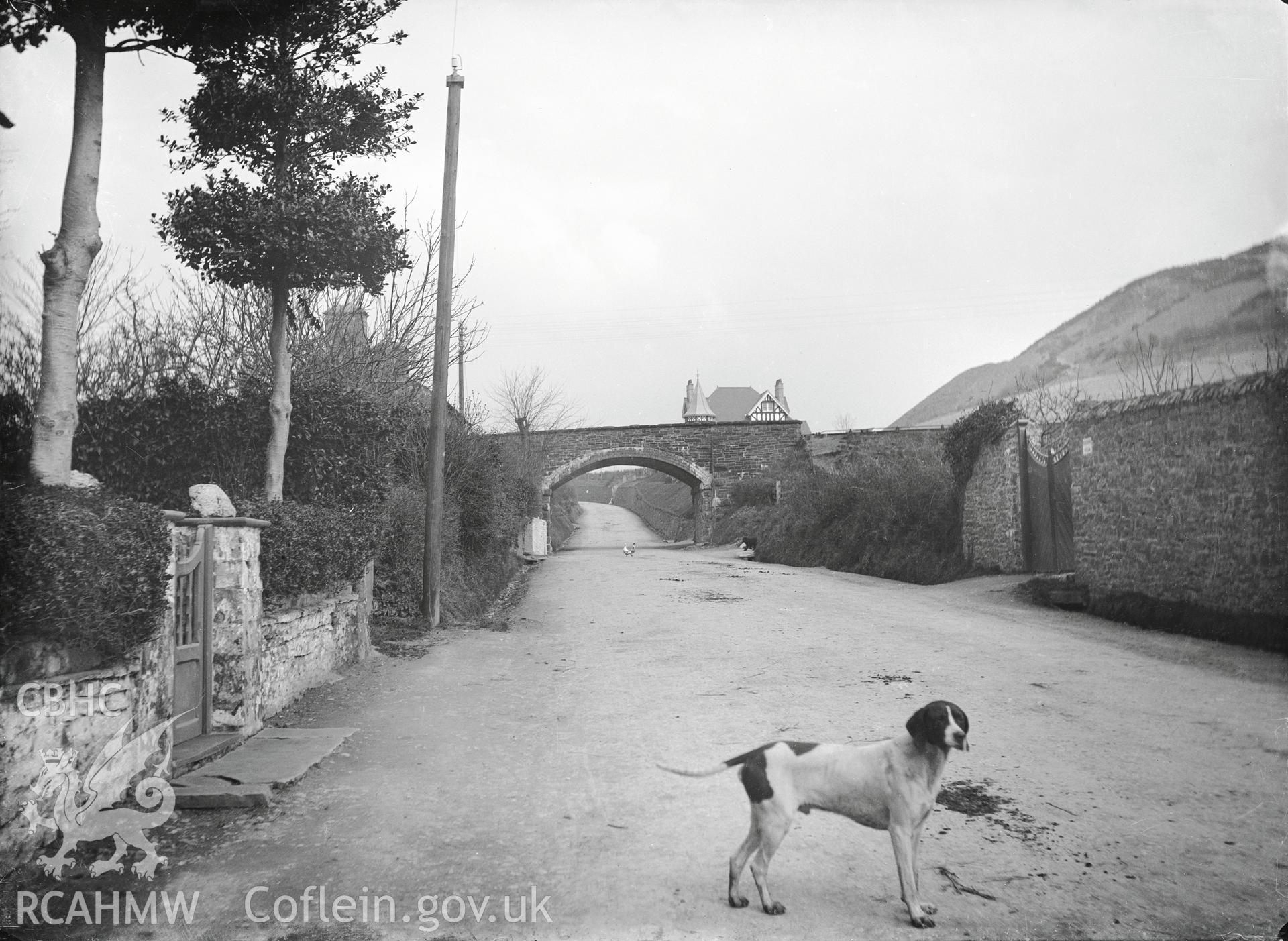 Black and white image dating from c.1910 showing the main road through Llanfarian,  taken by Emile T. Evans.