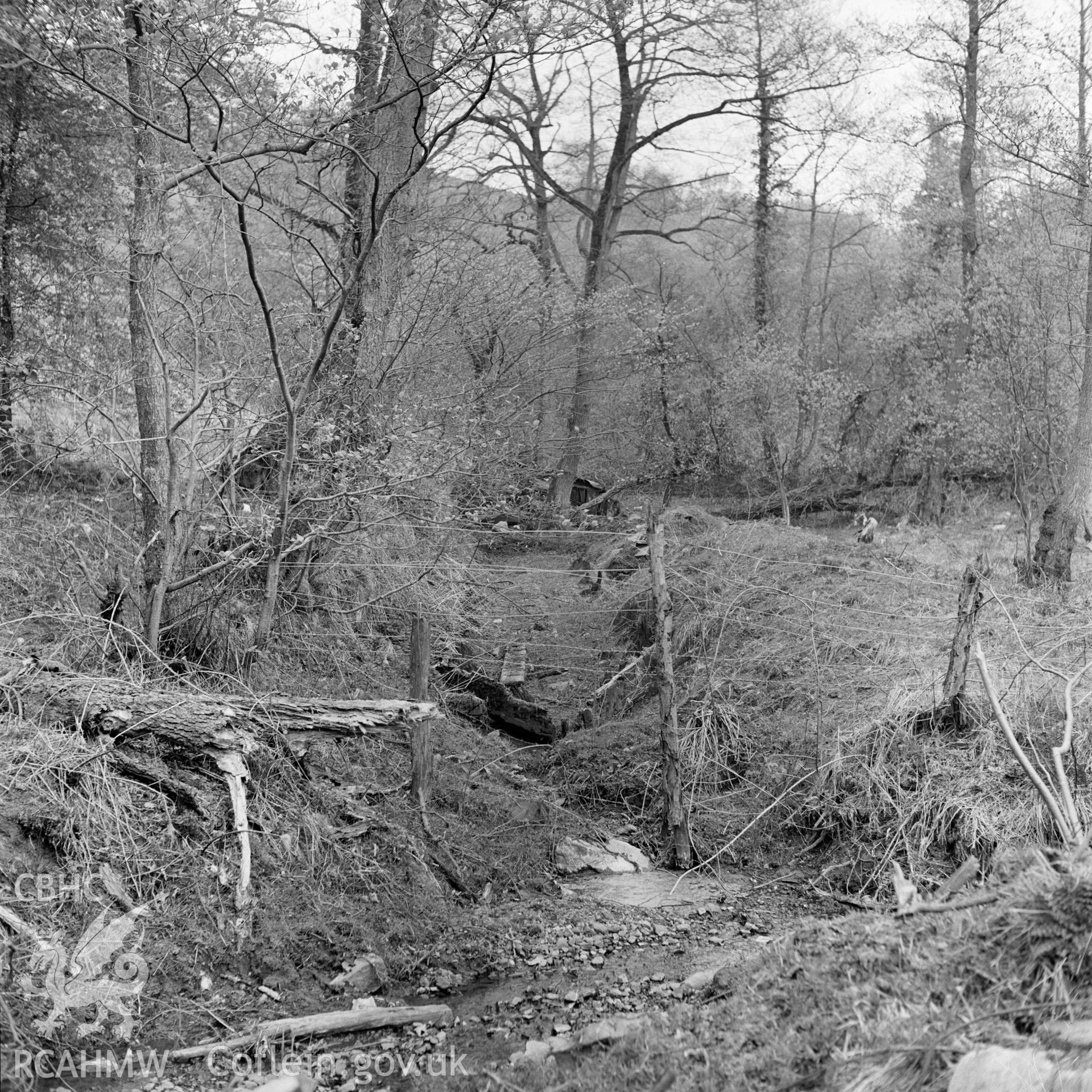 Remains of boat at Abercraf.
