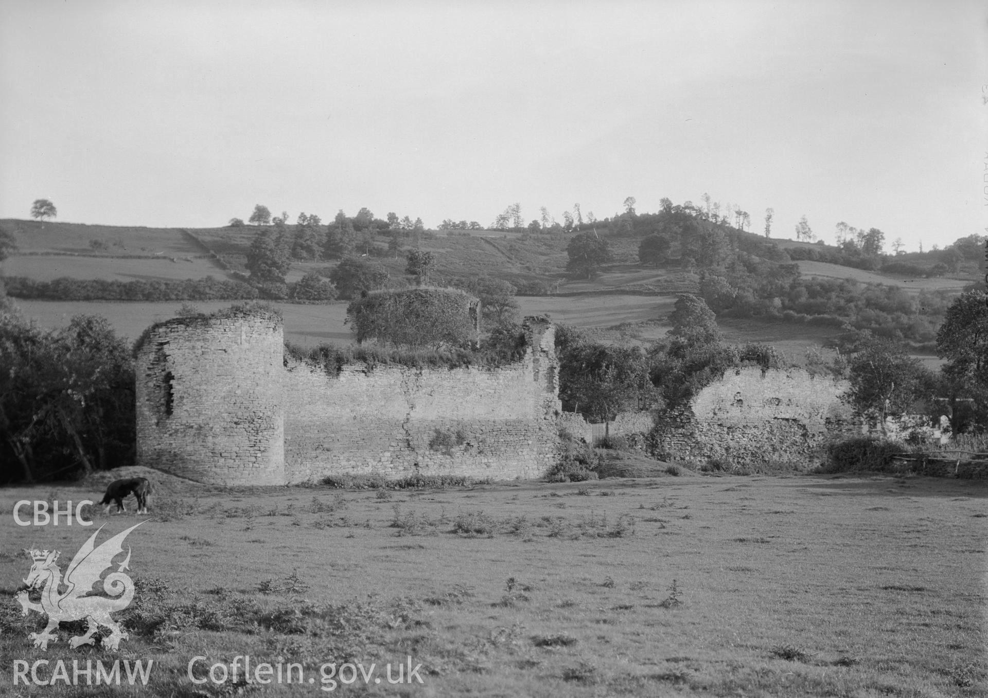 View of the Skenfrith Castle from the north.
