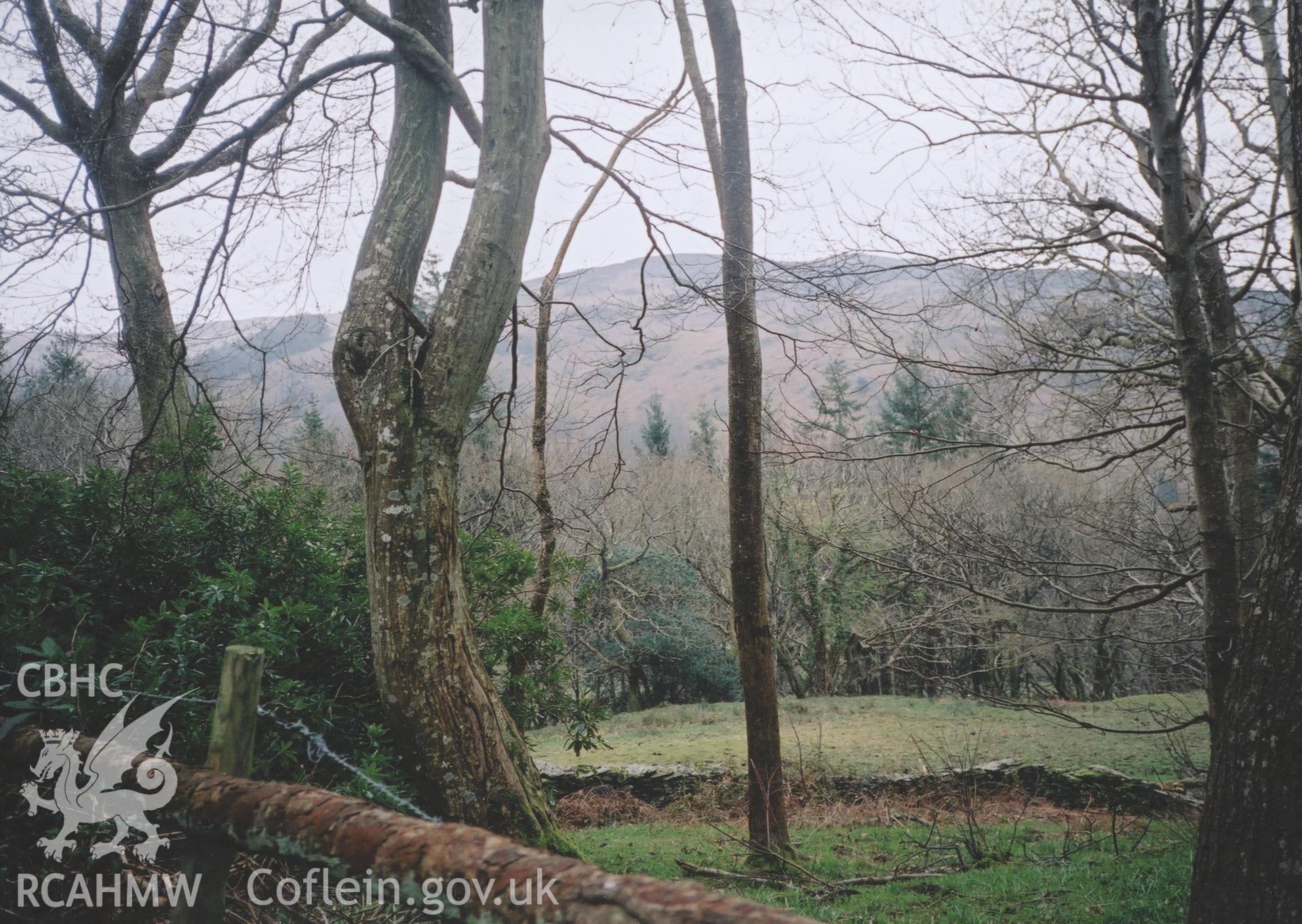 View from the grounds at Glandyfi Castle, taken March 2002.