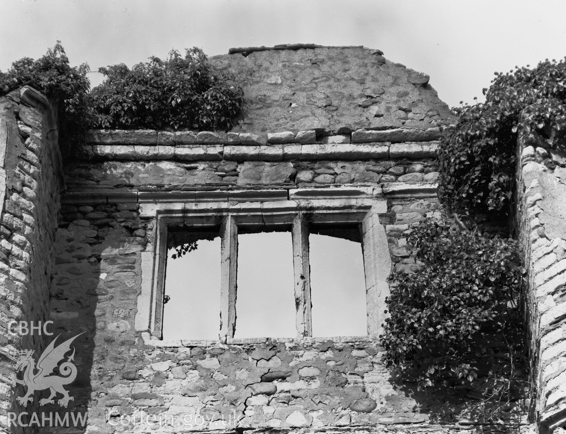 Window with mullions