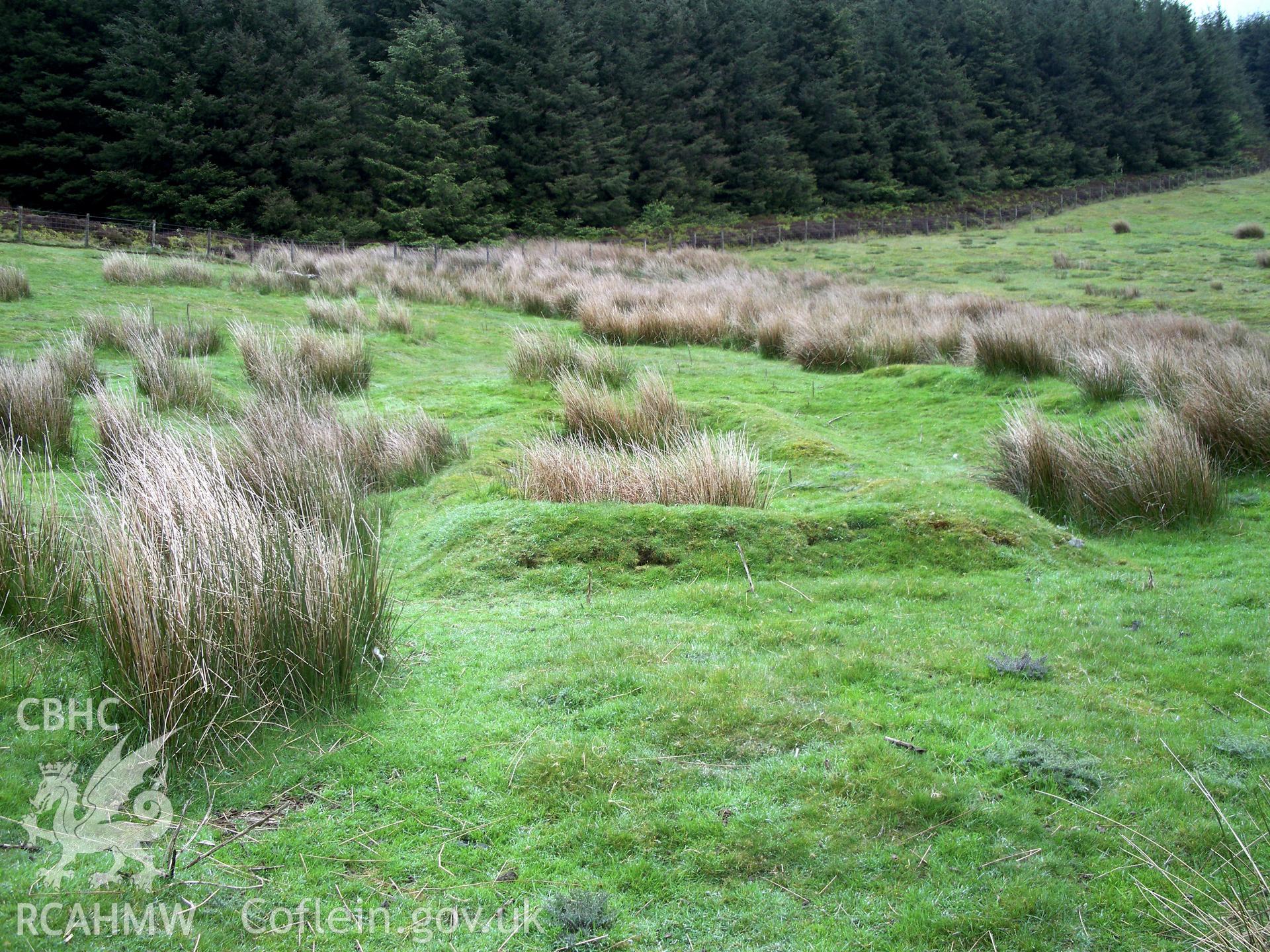 Hafod Nant y griatholen, hut and enclosure I  Looking east across the hut foundation.