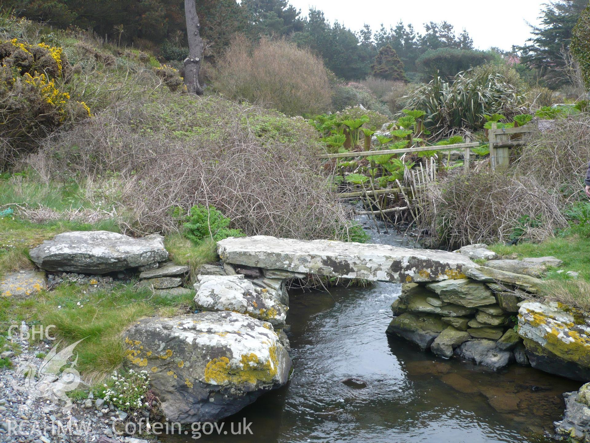 View of the stone slab bridge in the dingle garden looking south east.