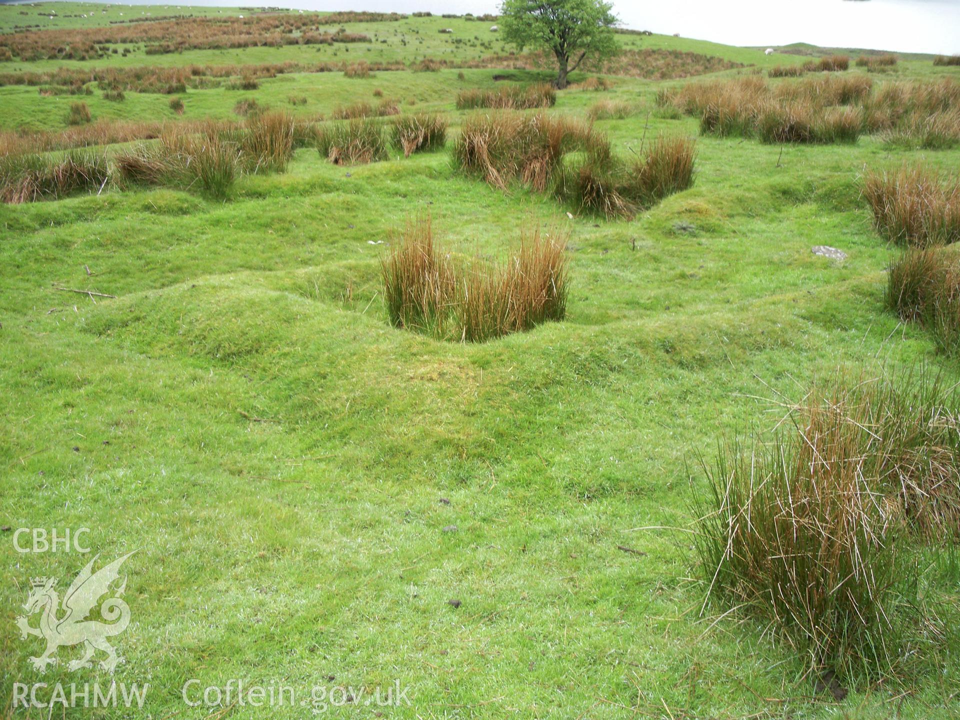 Hafod Nant y griatholen, hut and enclosure I  Looking south across the hut foundation.
