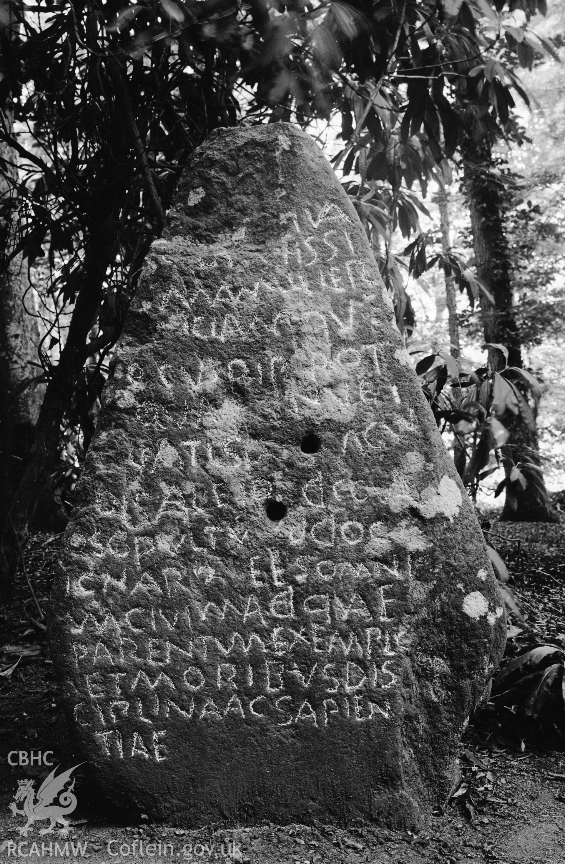 Black and white photograph showing Trescawen Inscribed Stone taken by RCAHMW before 1960.