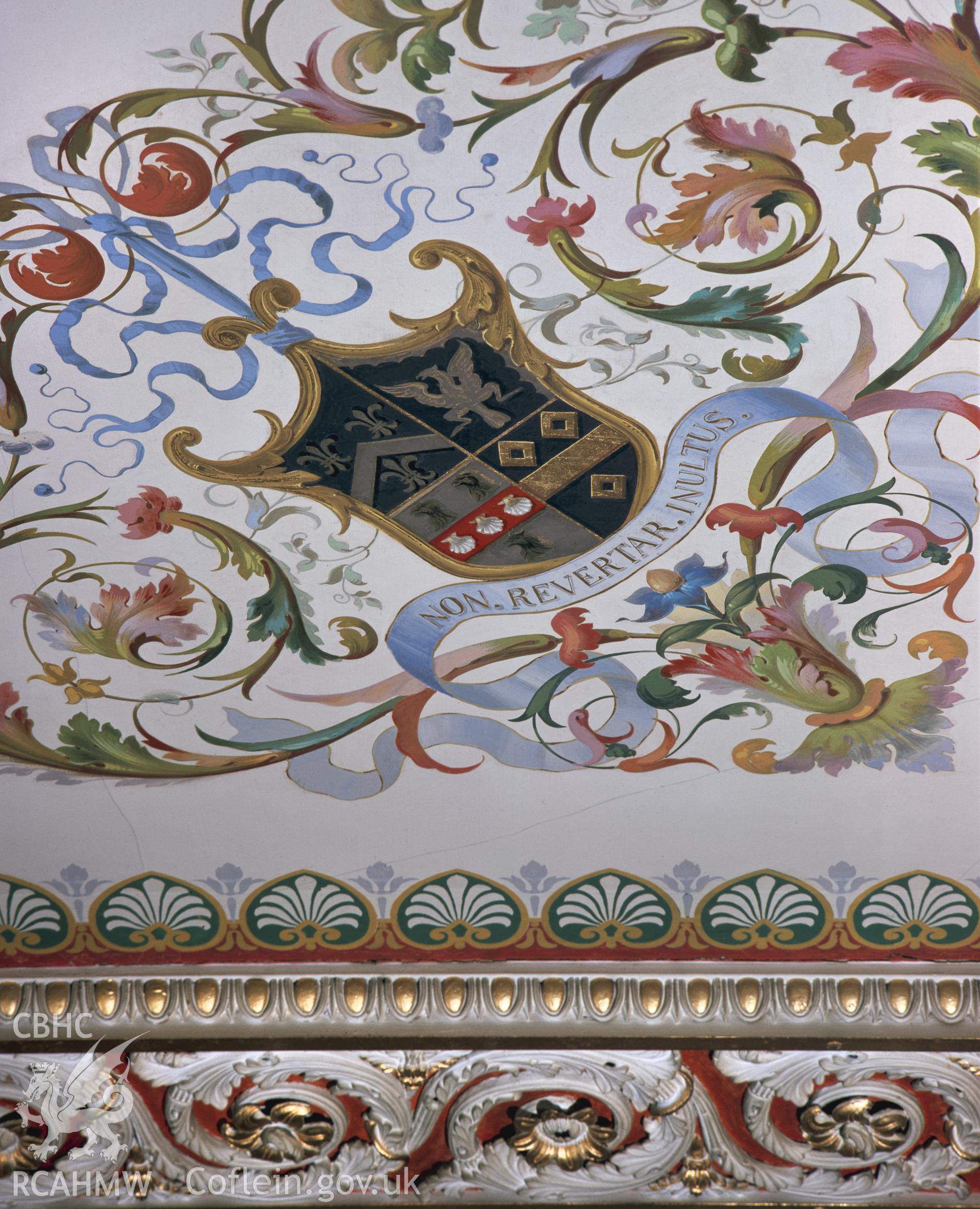 Colour image showing ceiling detail in the library at Trawscoed.