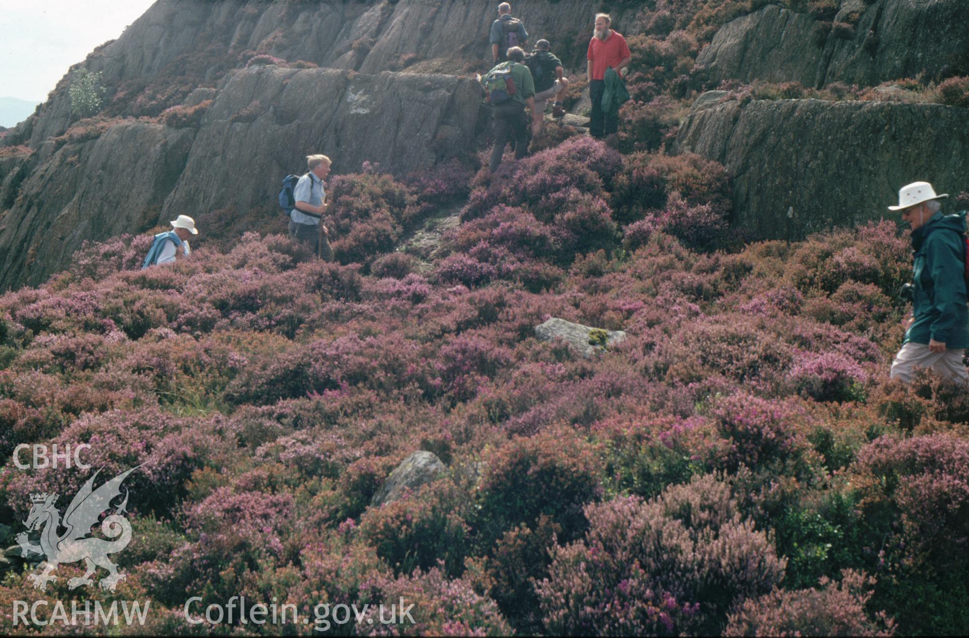 Digitized 35mm slide Llwyndu Copper Mine, whim circle, Beddgelert.
