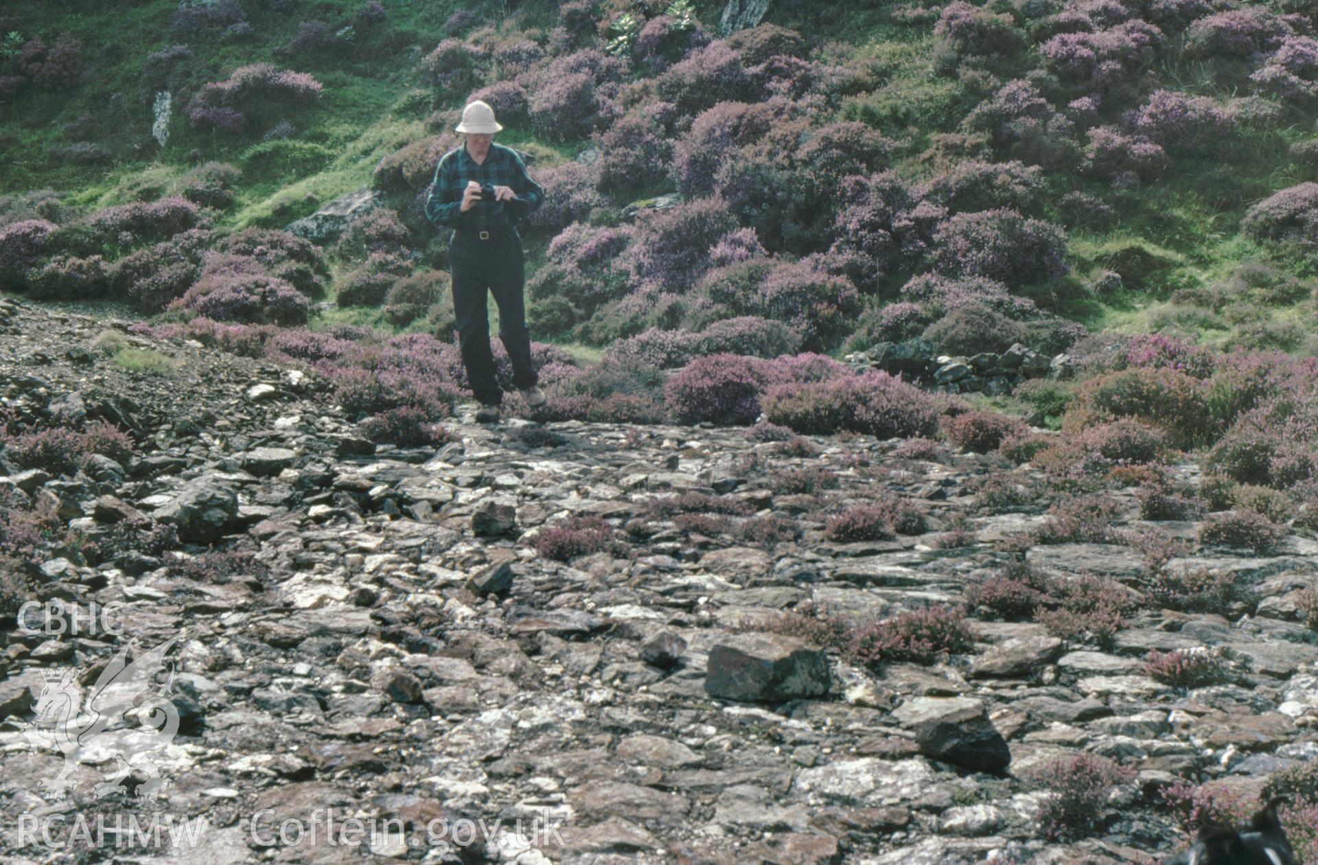 Digitized 35mm slide Llwyndu Copper Mine, dressing floor, Beddgelert.
