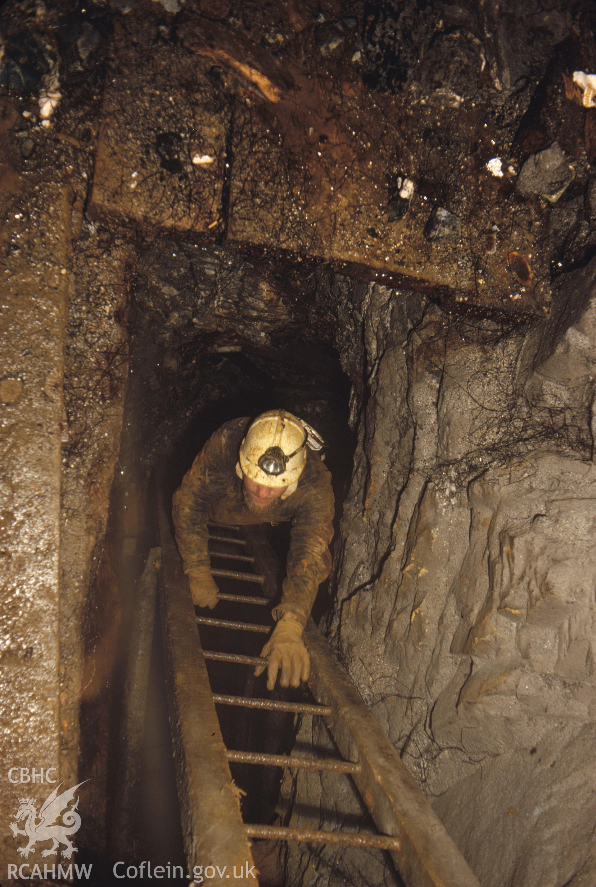 Digitized 35mm slide of Parc Mine, ladder, taken by Christopher J. Williams, and loaned by him for copying.