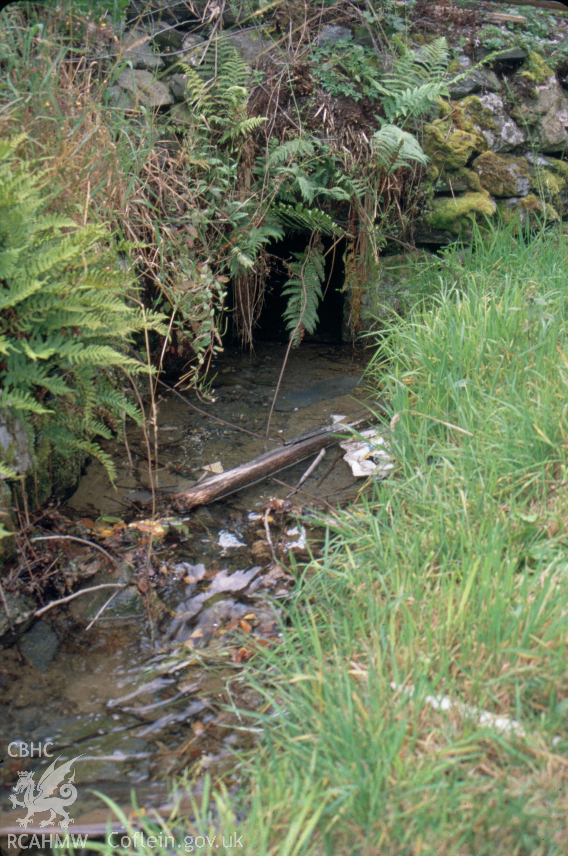 Digitized 35mm slide showing Llangynog Mine Llangynog Mine, adit portal.