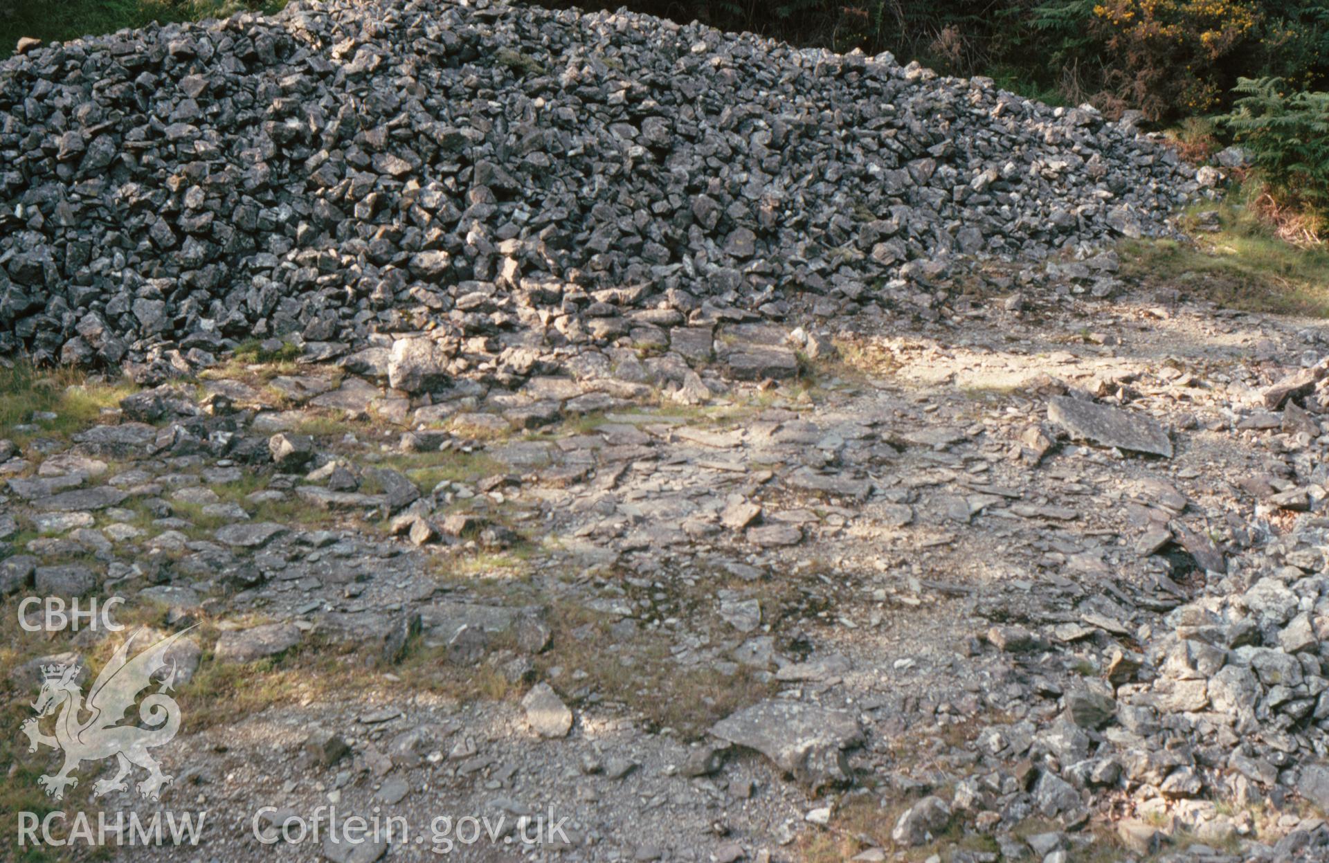 Digitized 35mm slide showing Cefn Gwyn Mine: dressing floor.