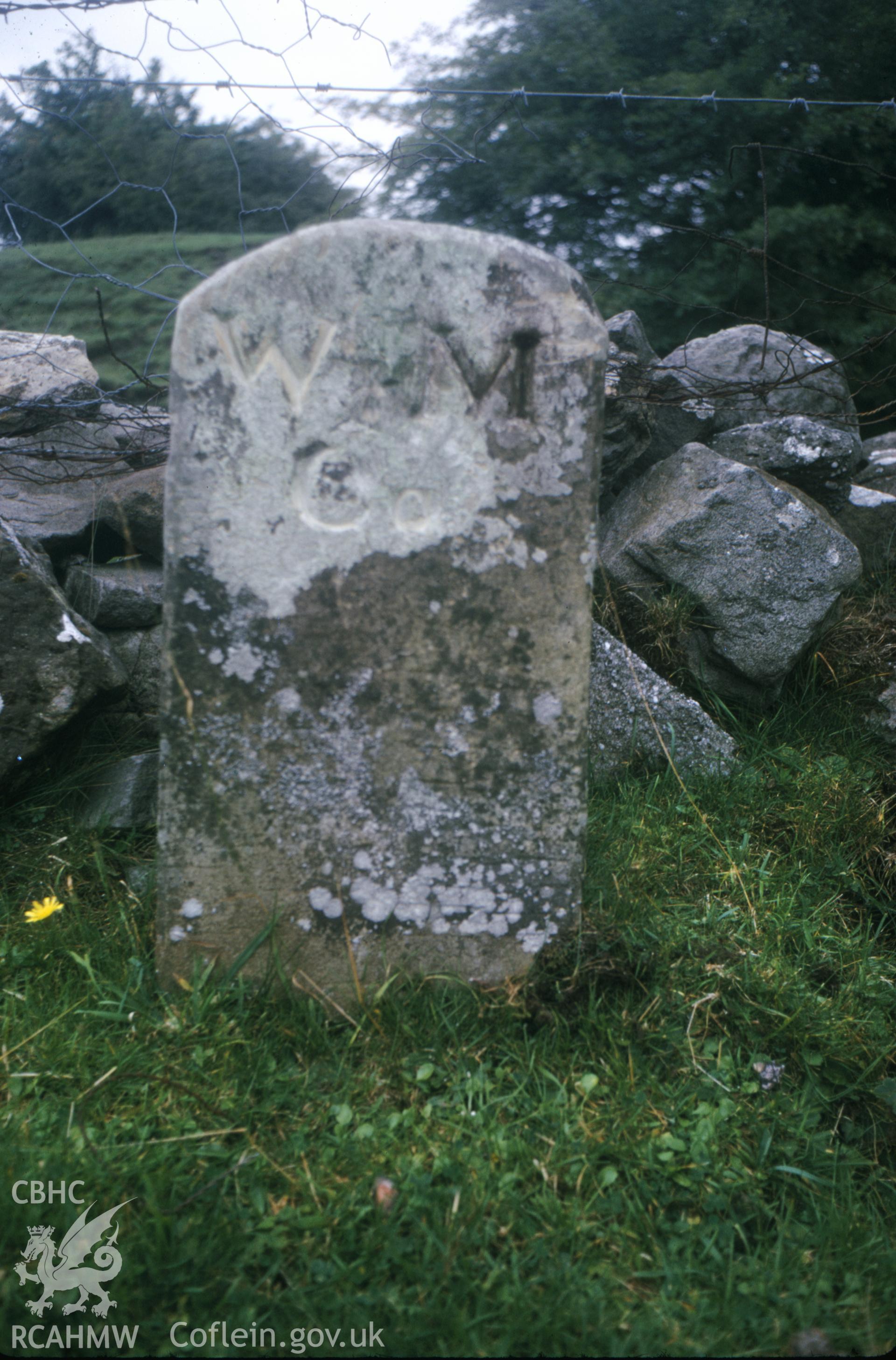 Digitized 35mm slide of Bog Mine, Llanarmon, showing boundary stone of Westminster Mining Co.