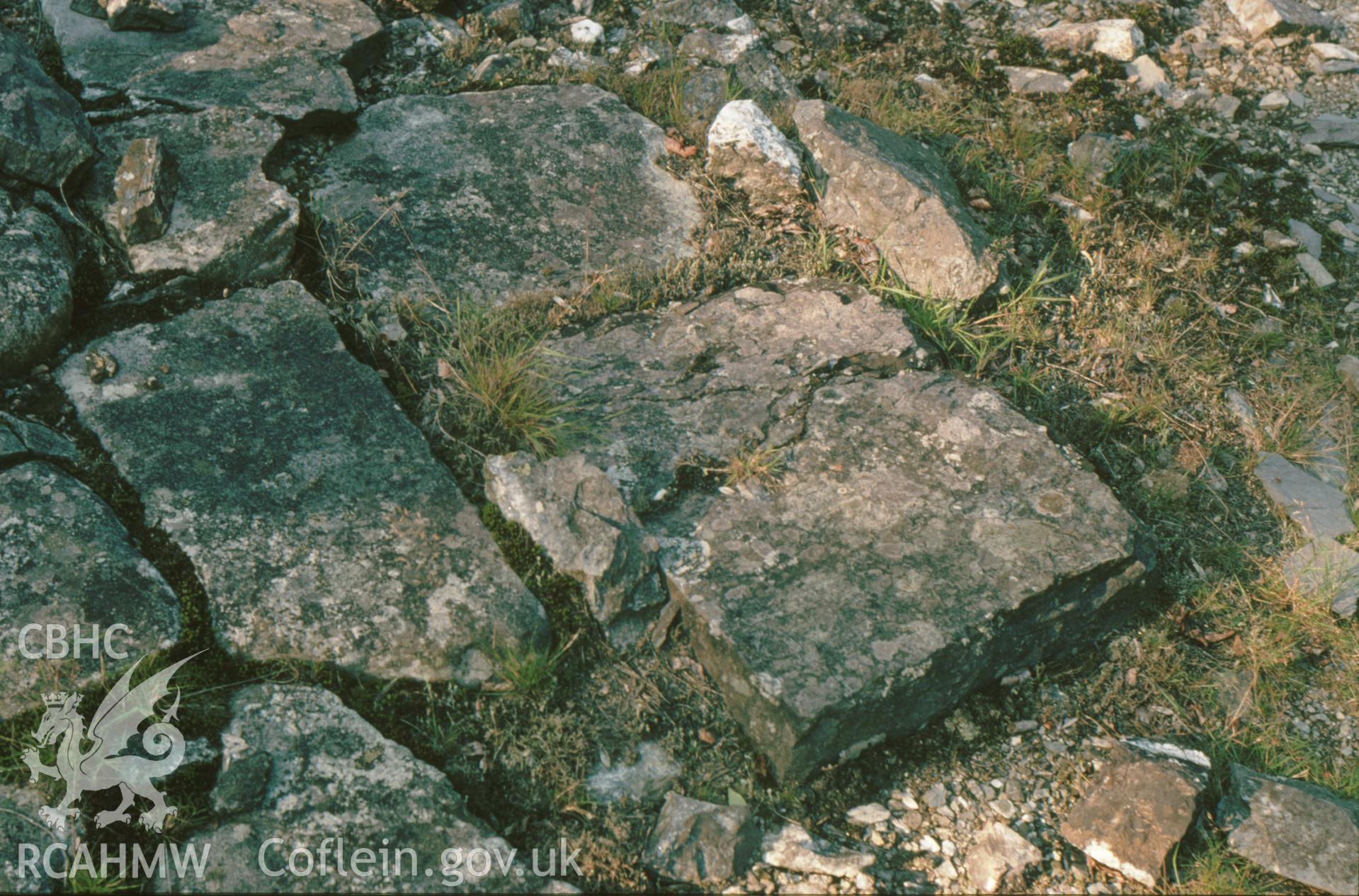 Digitized 35mm slide showing Cefn Gwyn Mine: dressing floor.