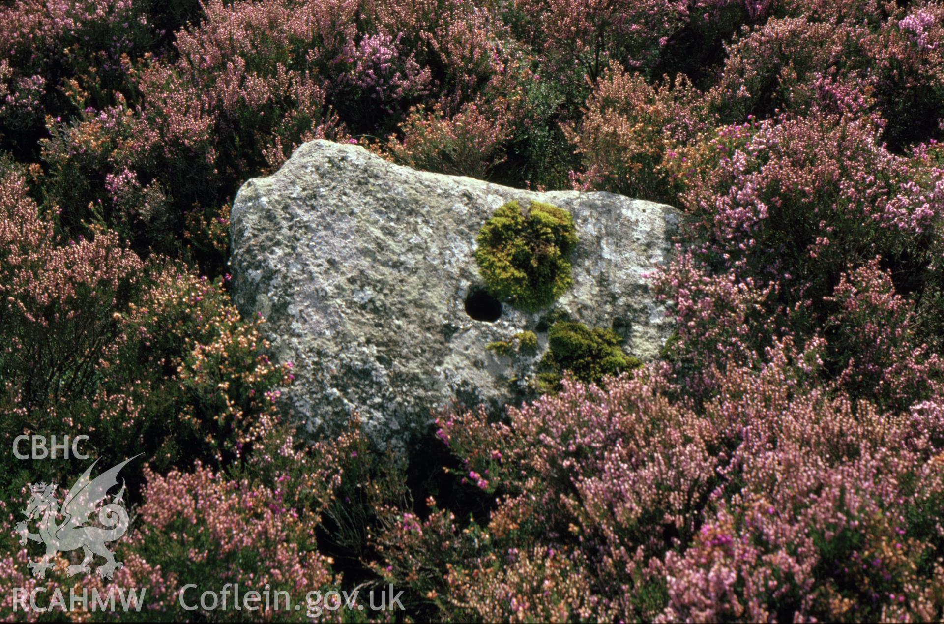 Digitized 35mm slide Llwyndu Copper Mine, whim circle, Beddgelert.