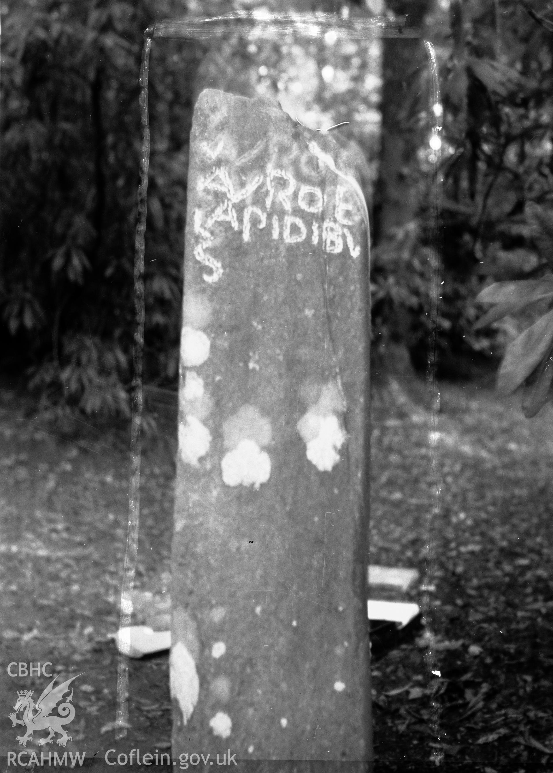 Black and white photograph showing Trescawen Inscribed Stone taken by RCAHMW before 1960.