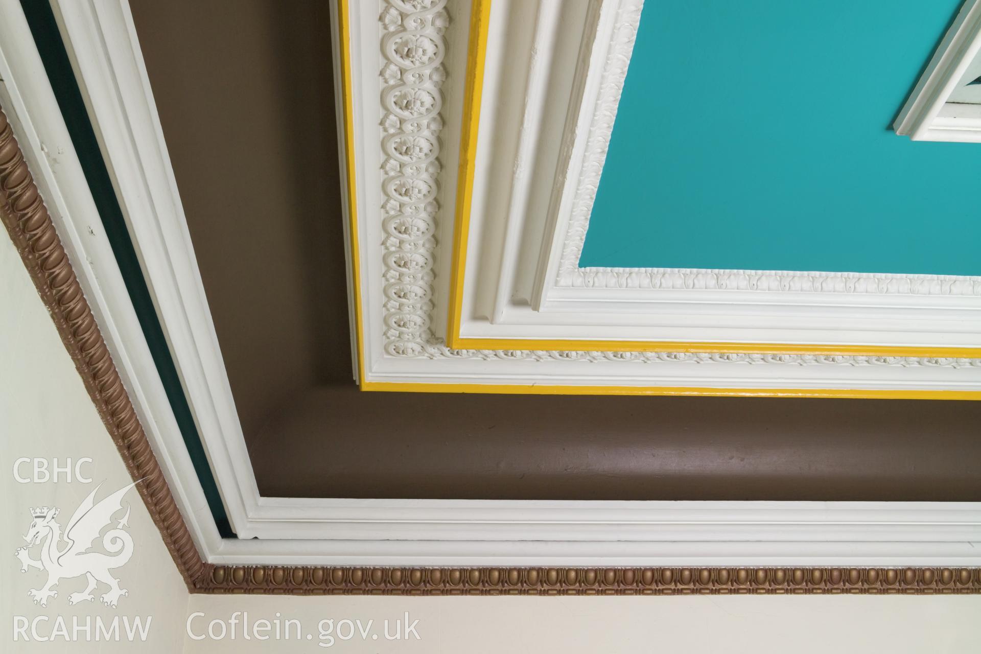 Plasterwork corner cornice detail.