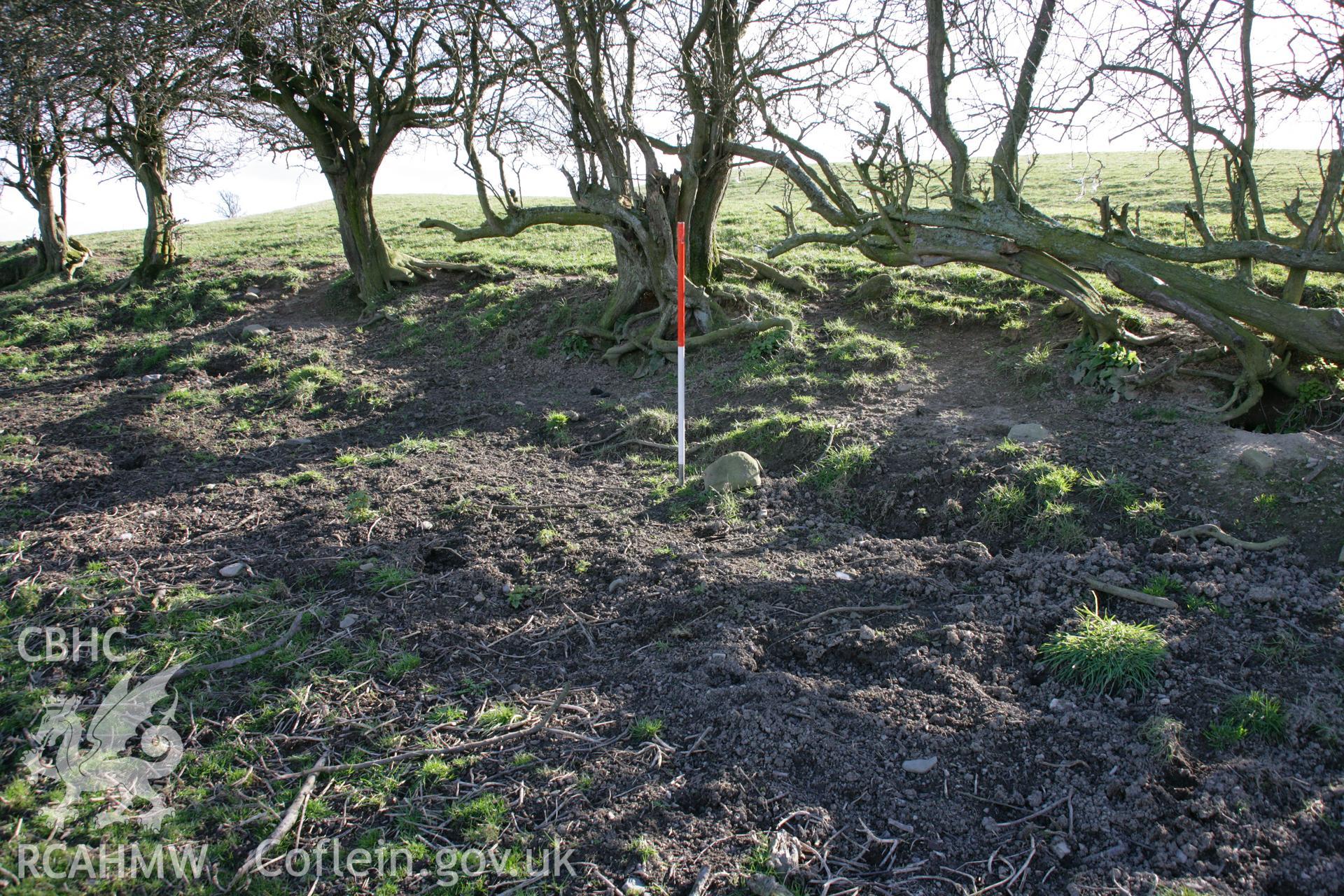 Pentre Camp: view of loose stones at point where field boundary crosses Iron Age defences on north side; these may represent fragments of the Iron Age revetment walling.