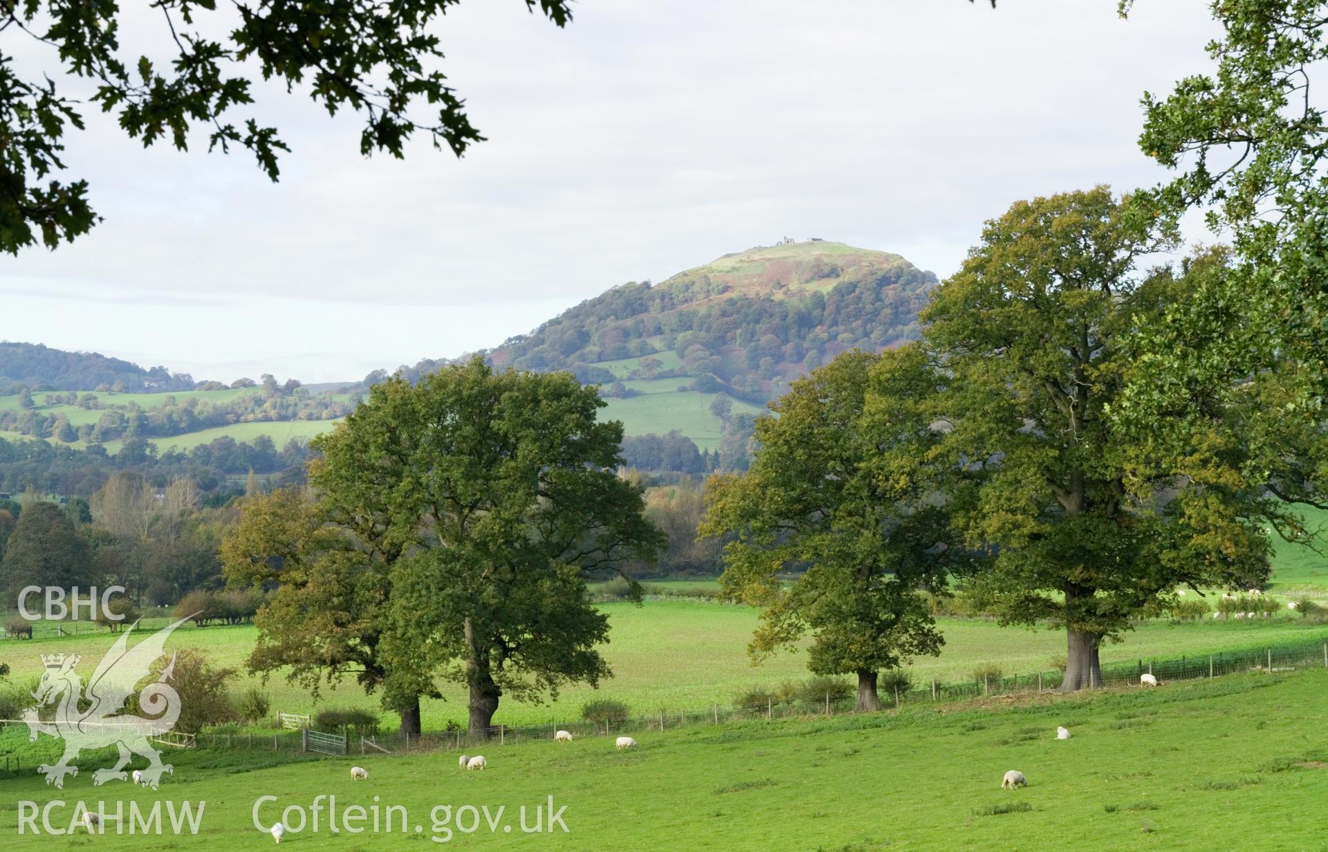Castell Dinas Bran from southeast.