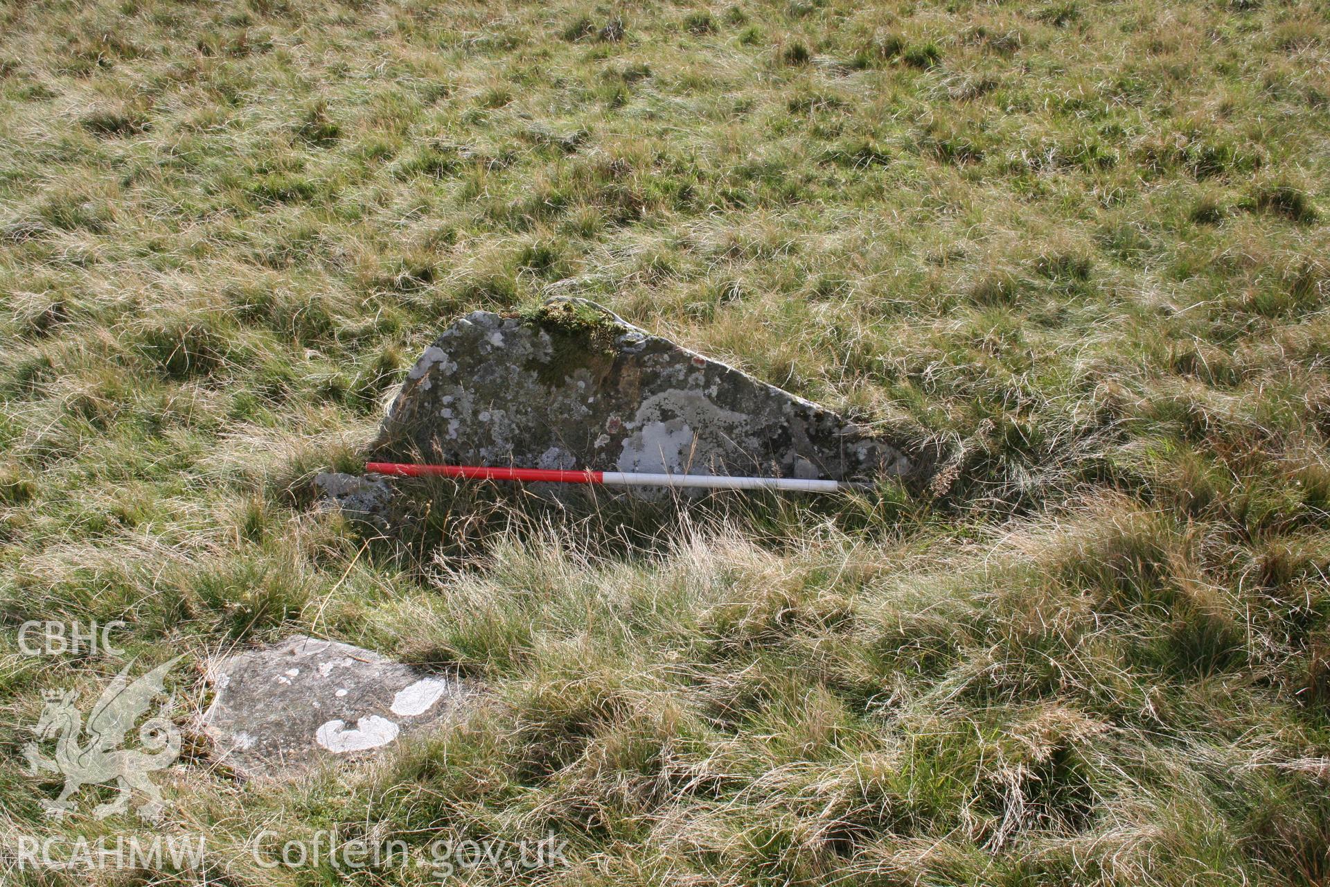 Bwlch Cerrig Duon Cist. Cist viewed from north; 1m scale.