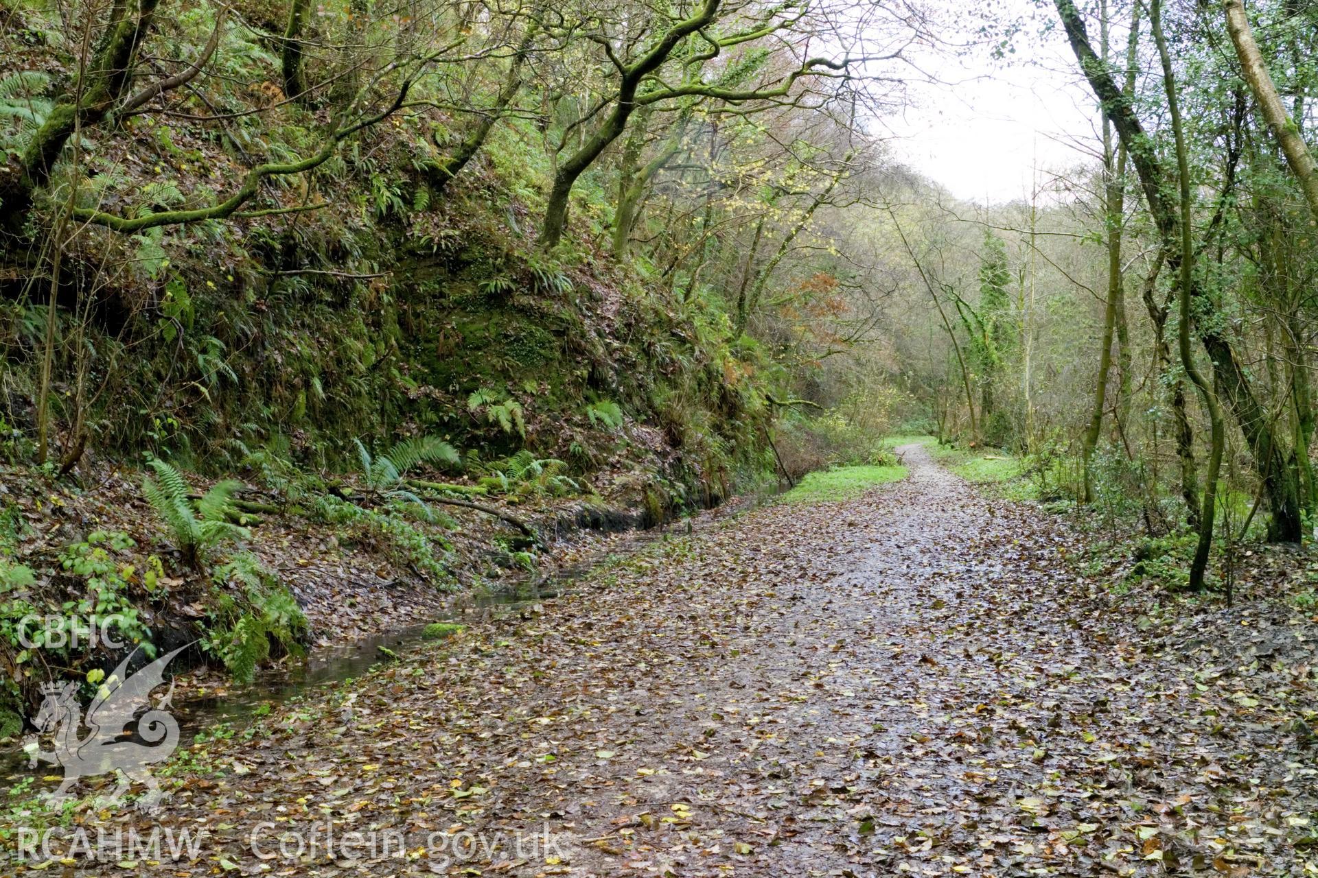 Railway bed and rock cutting from the southeast a short distance north of Pont y Lon.